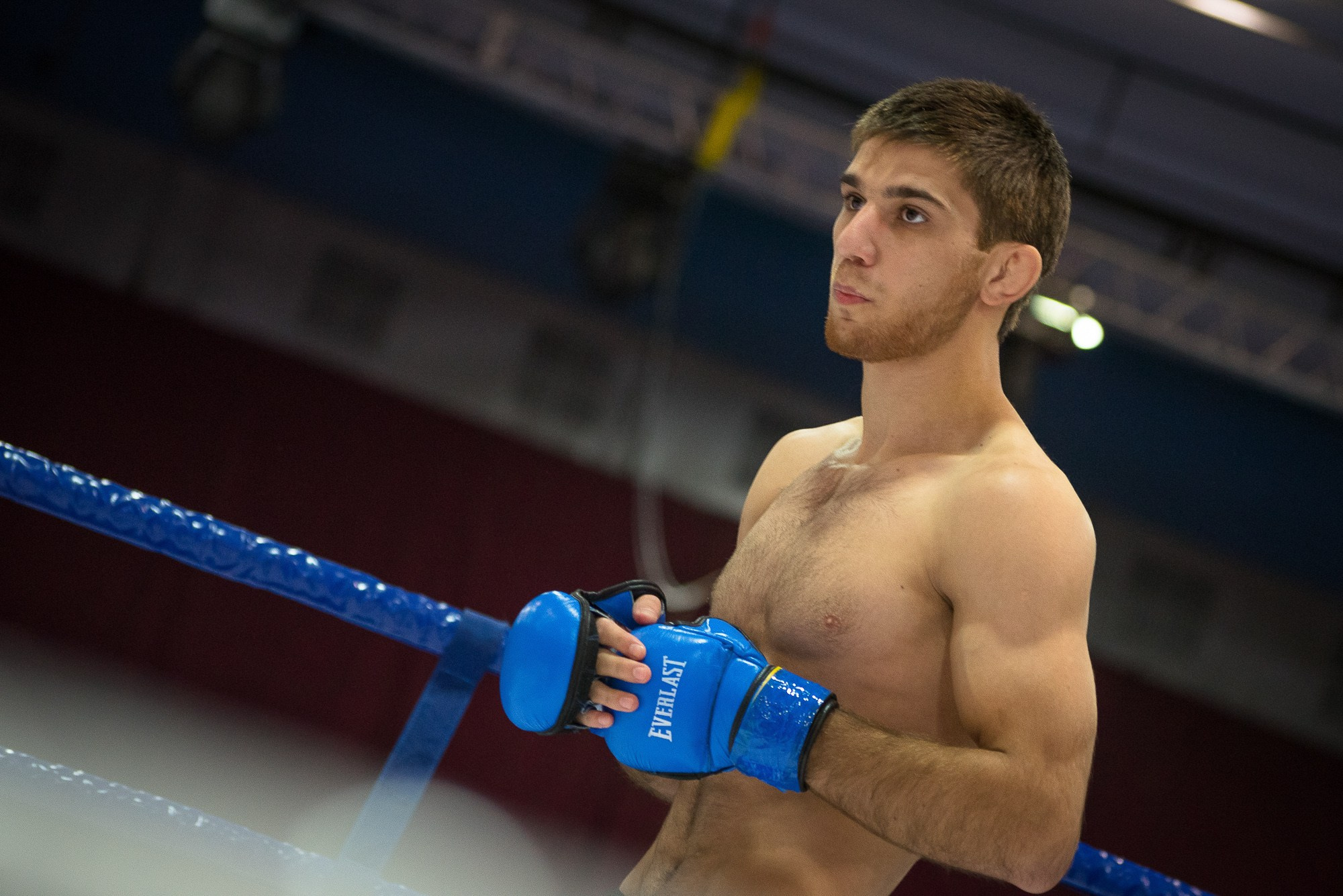 Спортсмен в синих перчатках готовится к бою