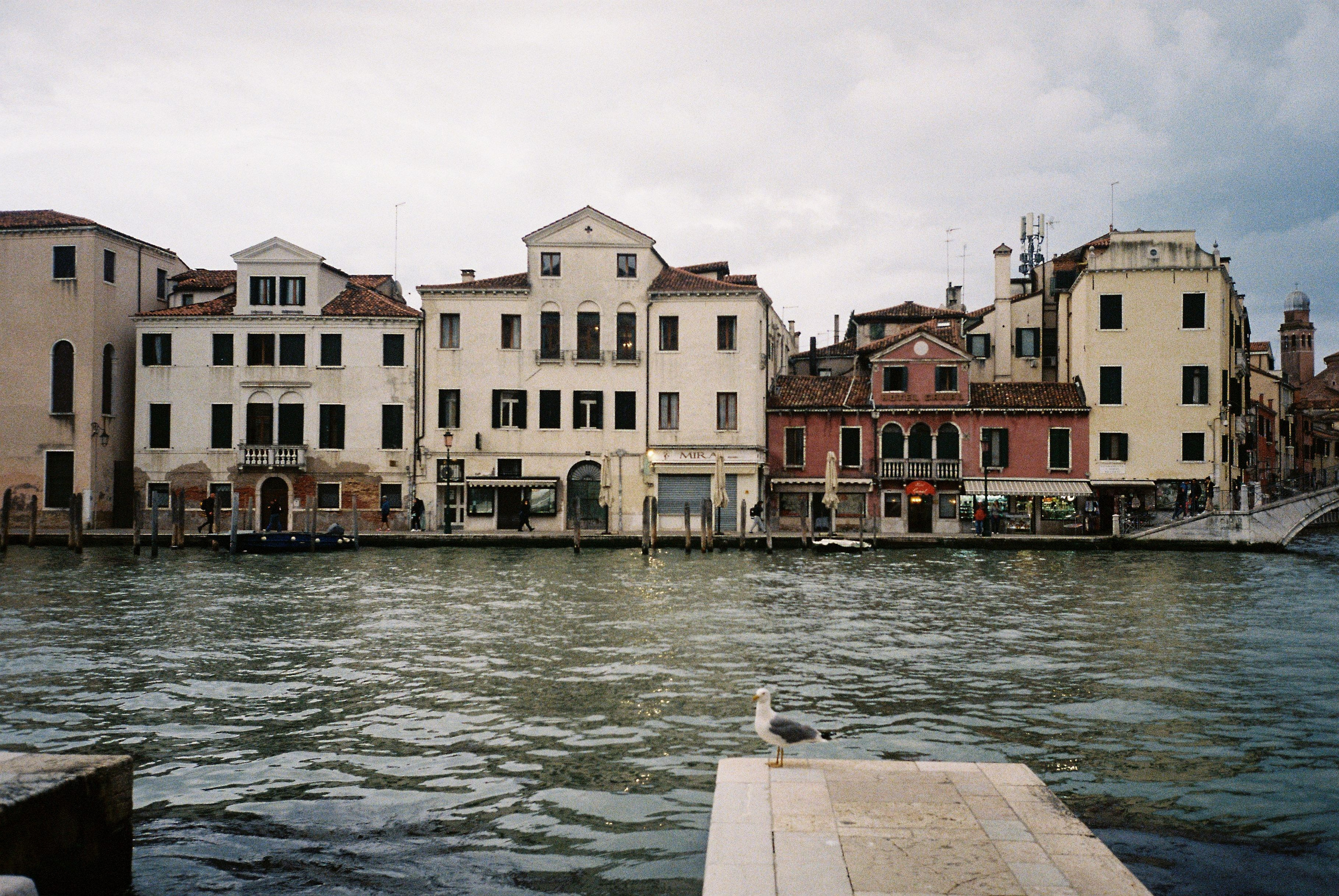 Мои путешествия. Rose Korenevskaya|Ваш нежный фотограф