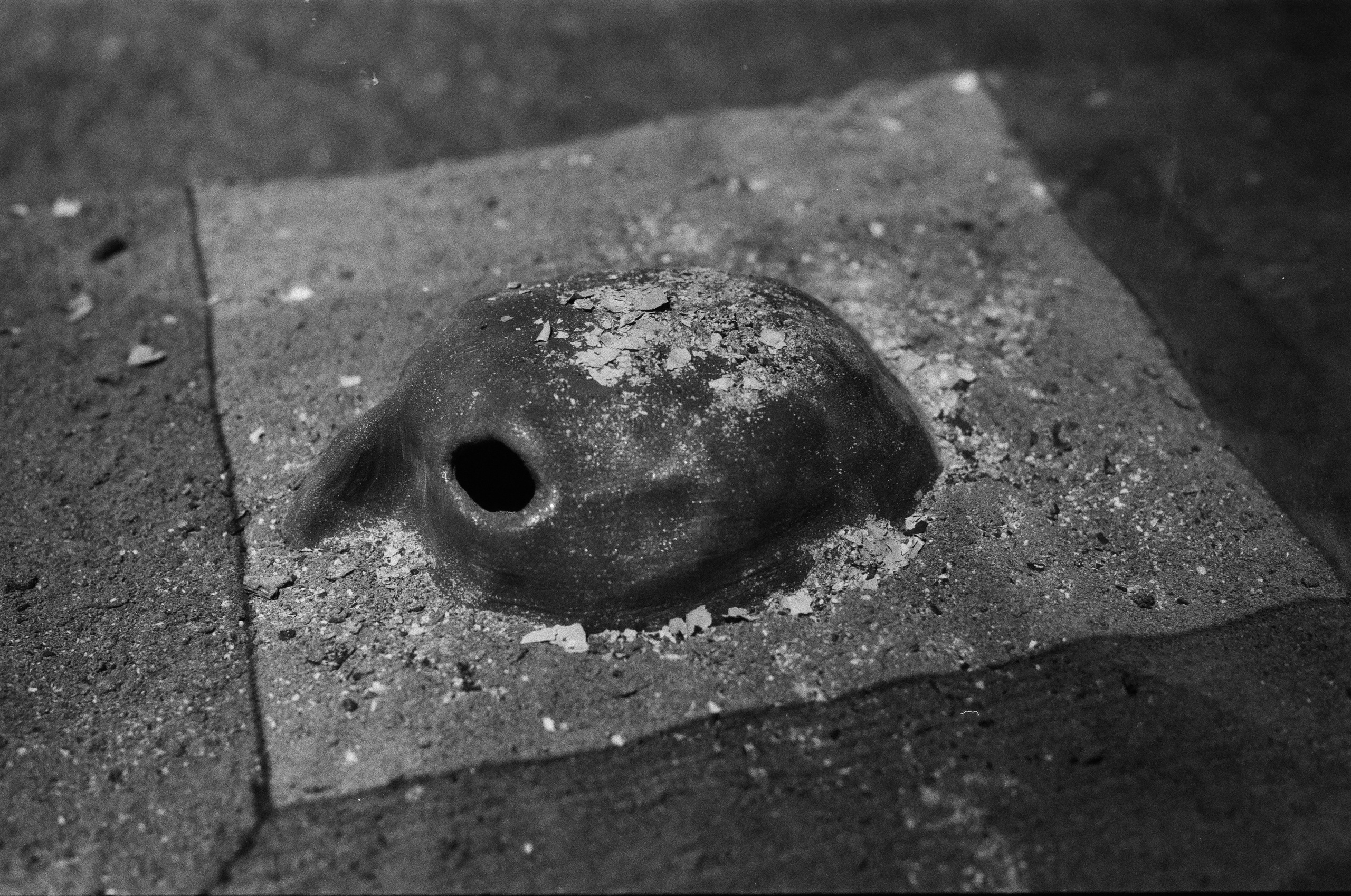 Кристина Разумова