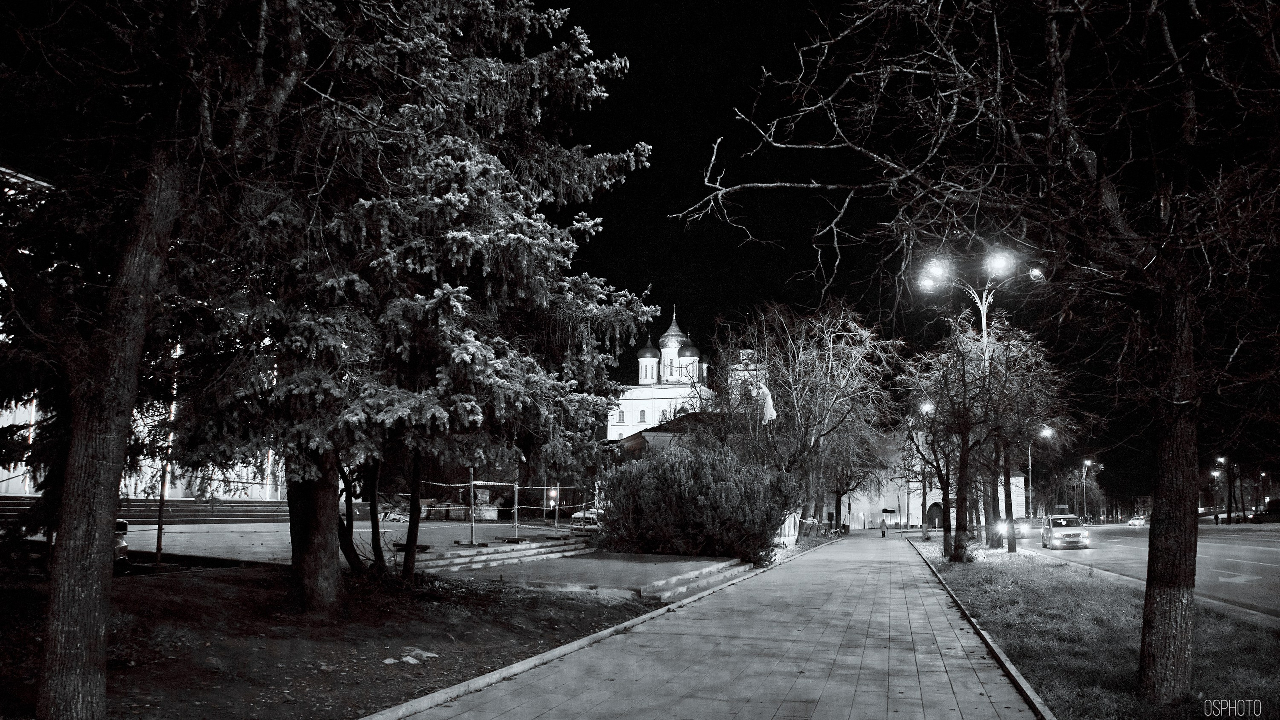 Псков. Ноябрь. Фотографъ Сергѣевъ. Поймать мгновеніе