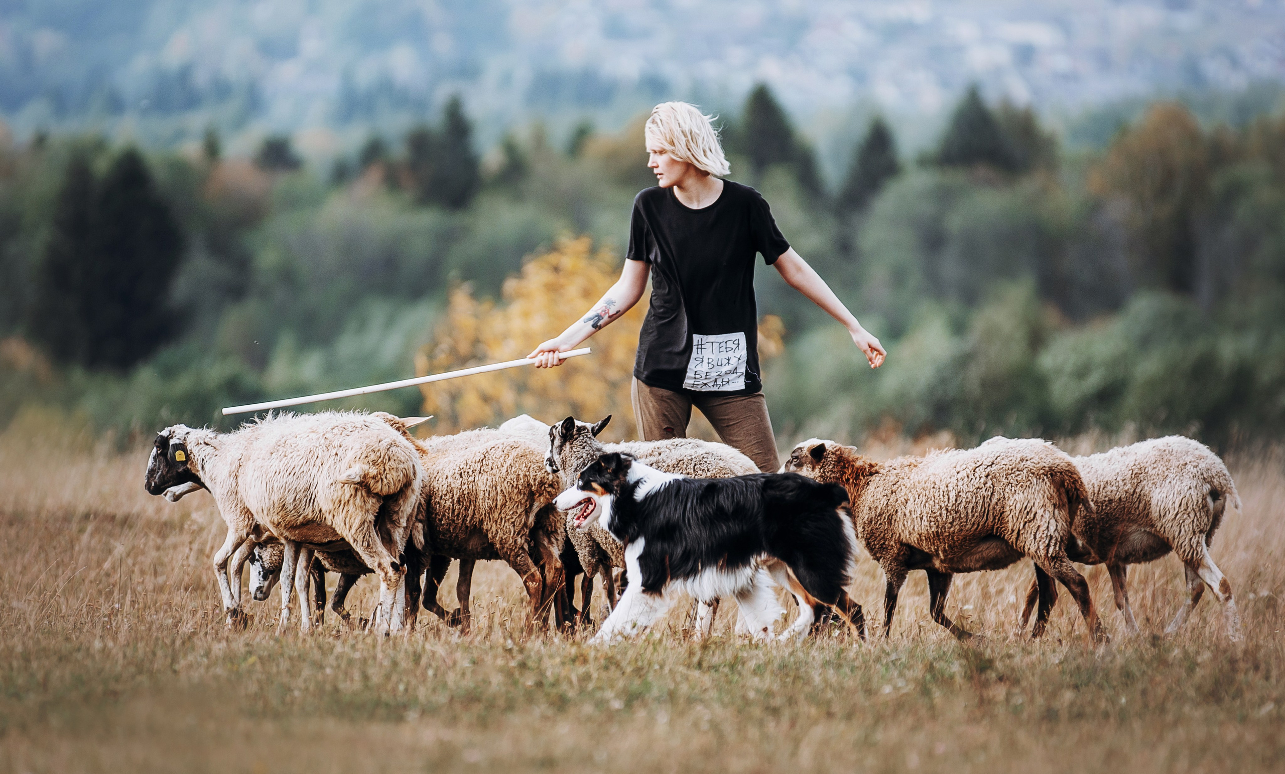 О нас. BLGKV питомник собак