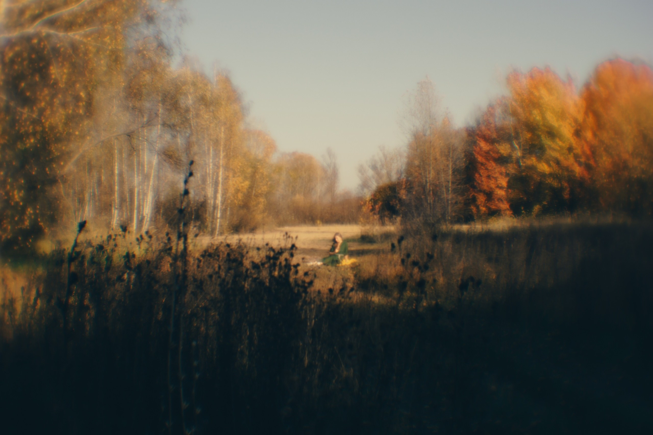 Елена Патрина