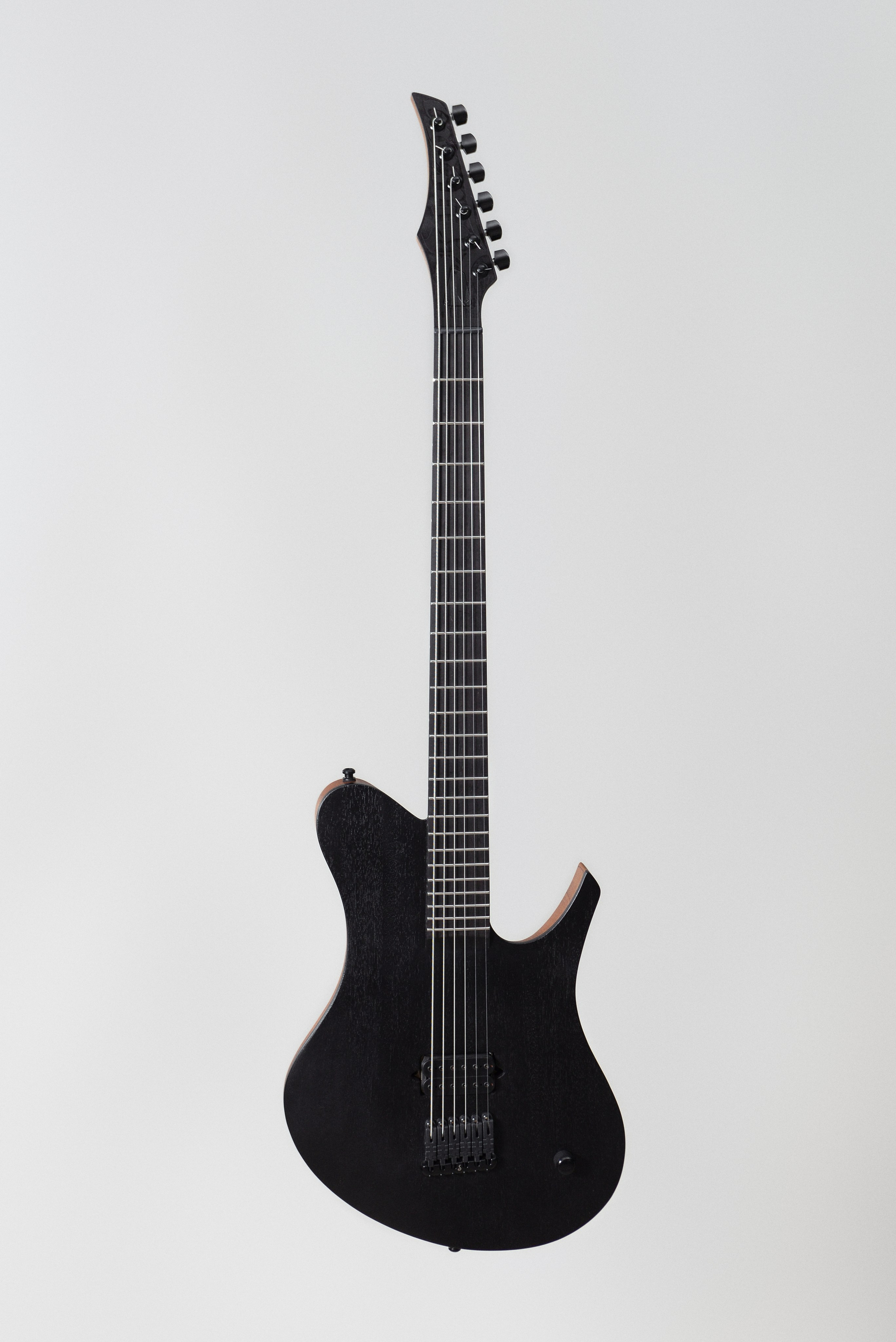 020 Zlaya Sobaka. Master of making guitars and basses to order