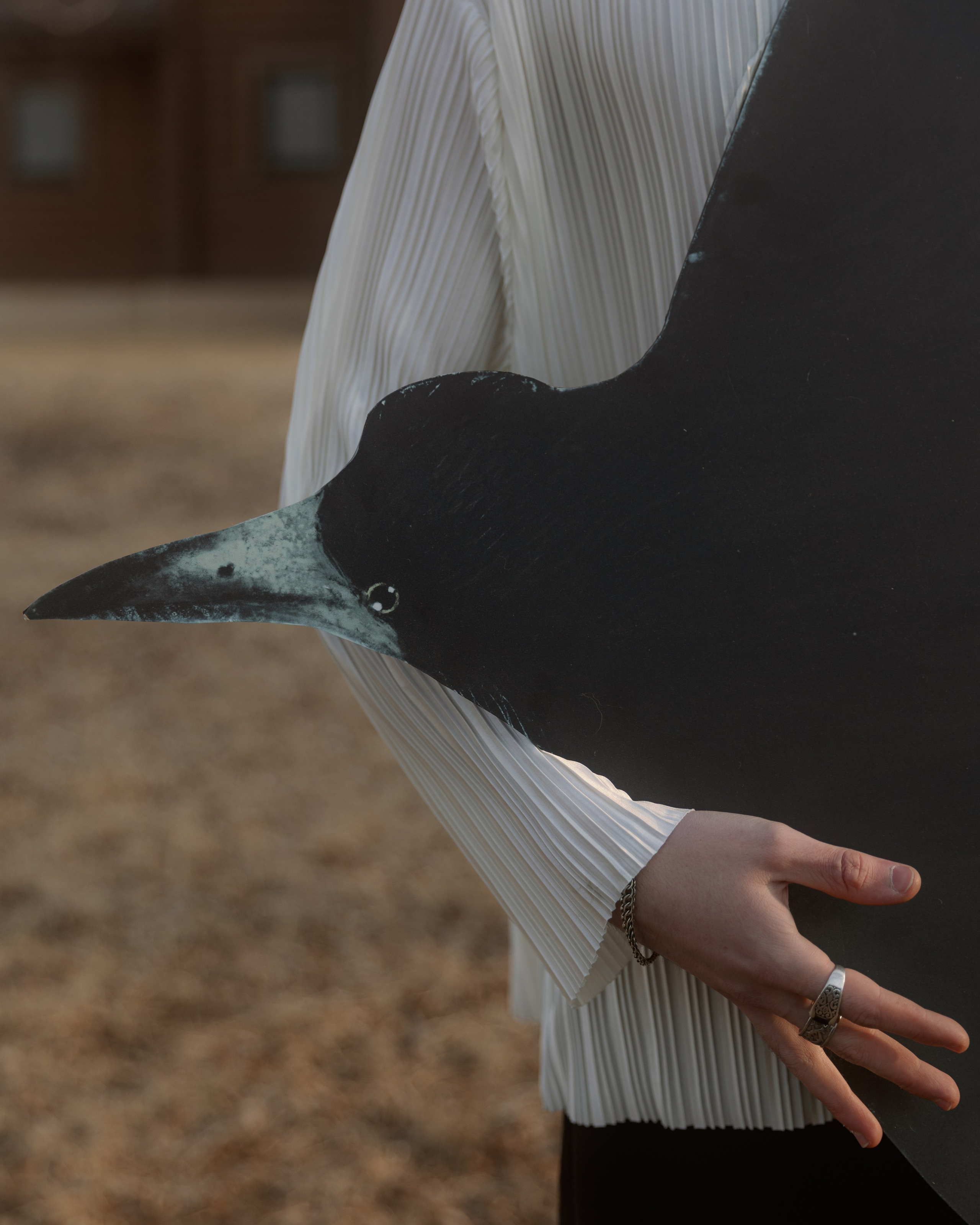 Грачи прилетели. Организация свадеб и других мероприятий во Владивостоке от «Рядом быть»