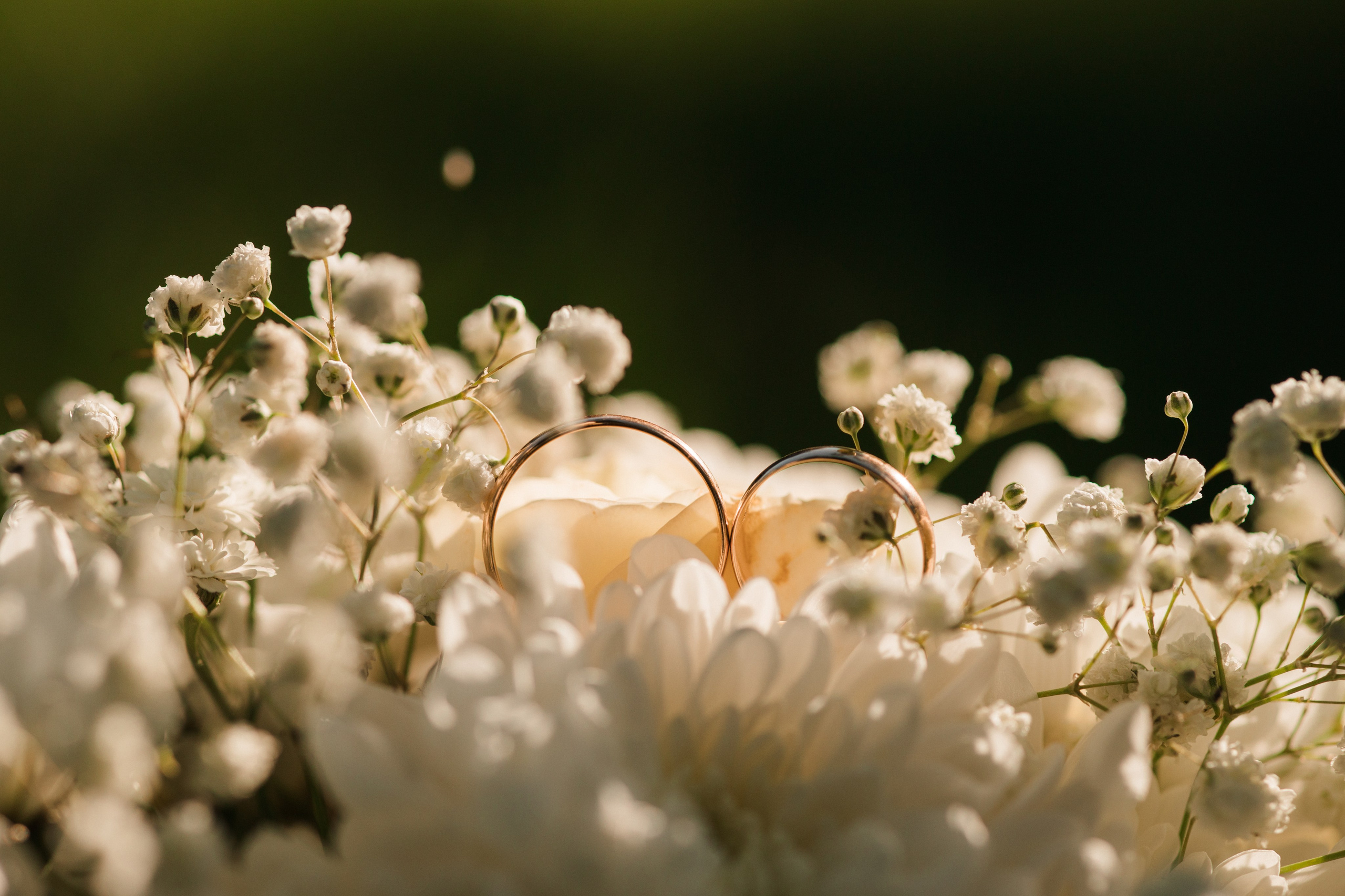 Свадебный фотограф в городе Серпухов, Москва, Подольск. Выпускные альбомы в Серпухове