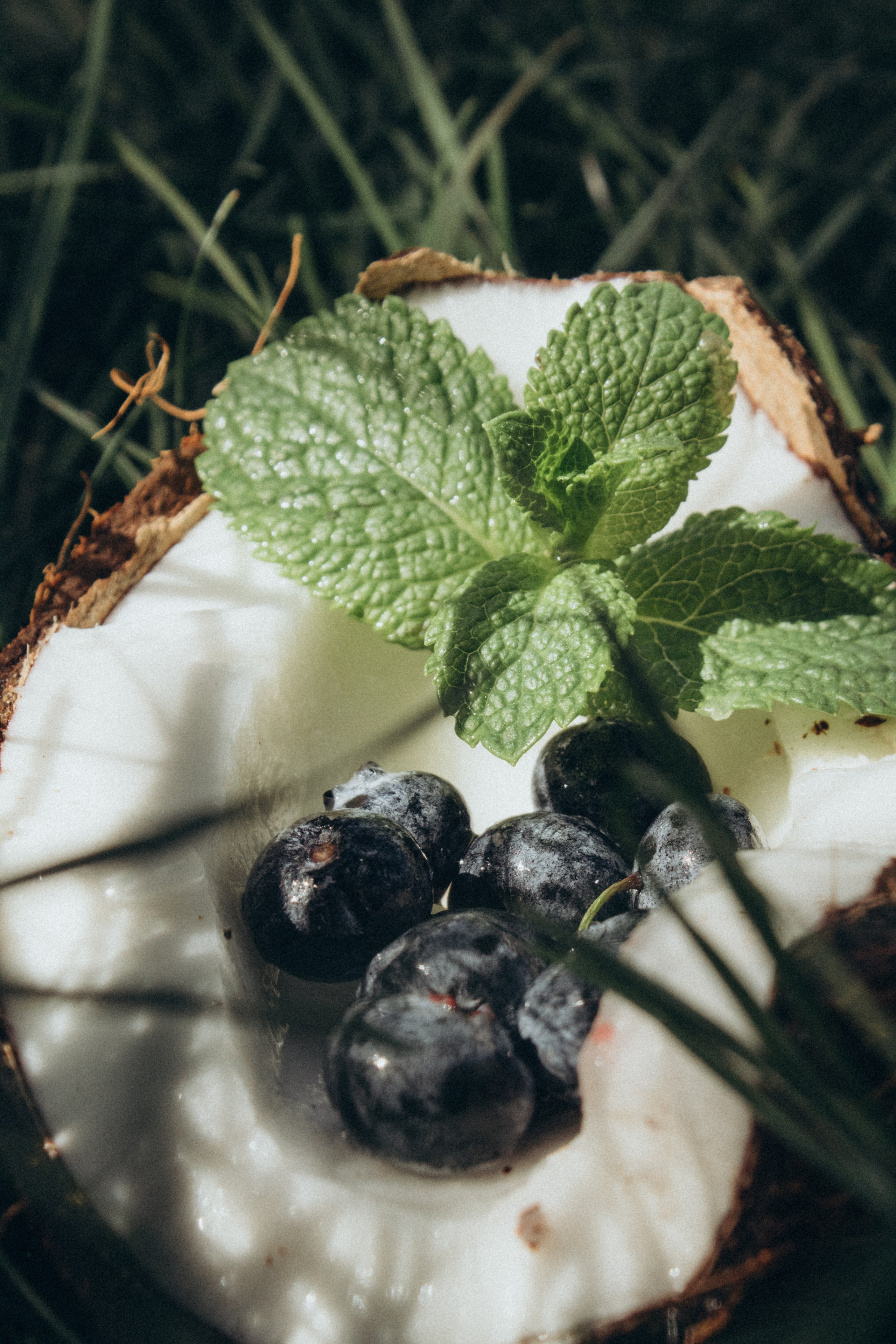 ФОТОШКОЛА. Фотостудия в Мариуполе «Берлога»
