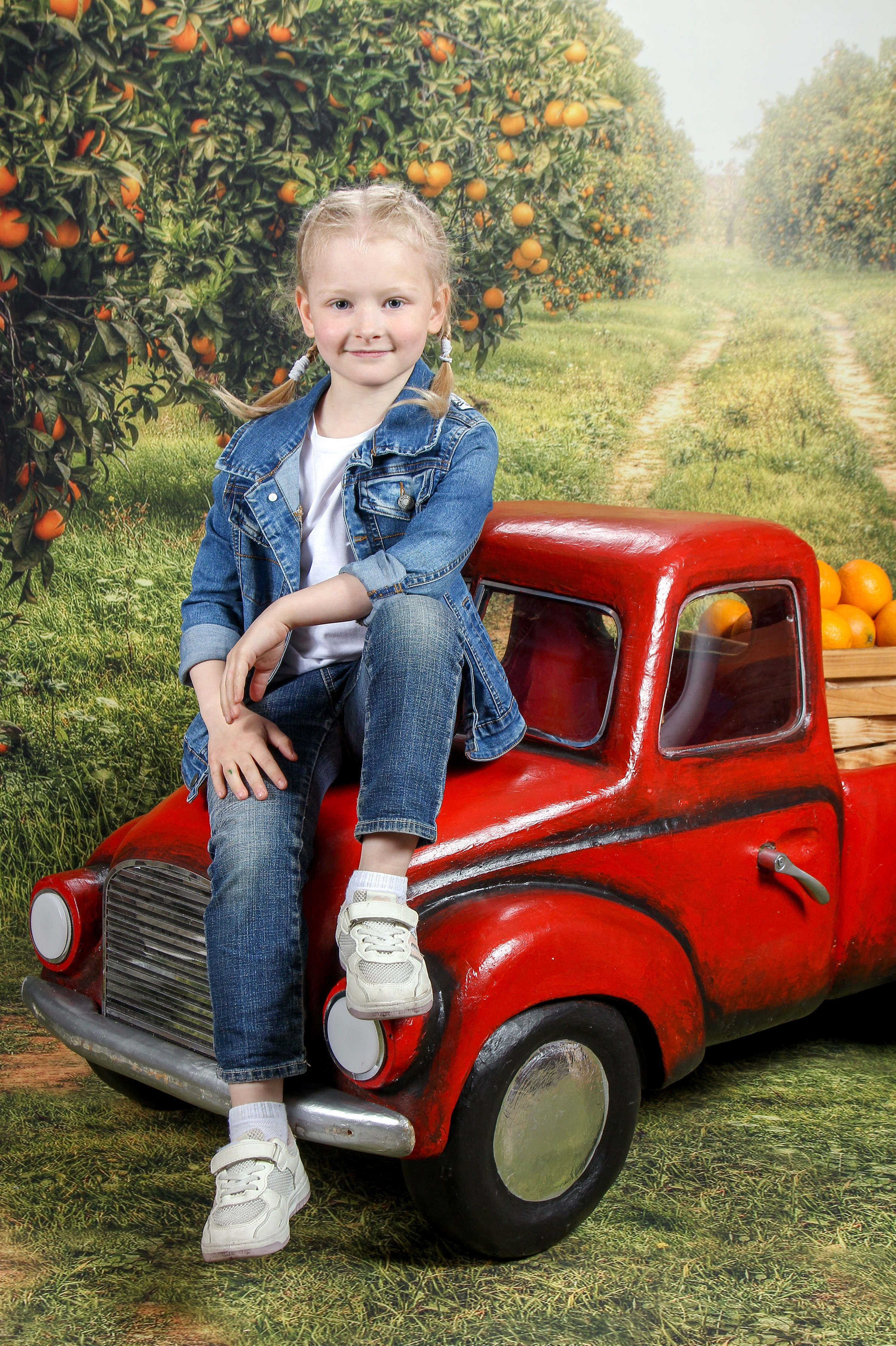 Портреты. Три Жирафа