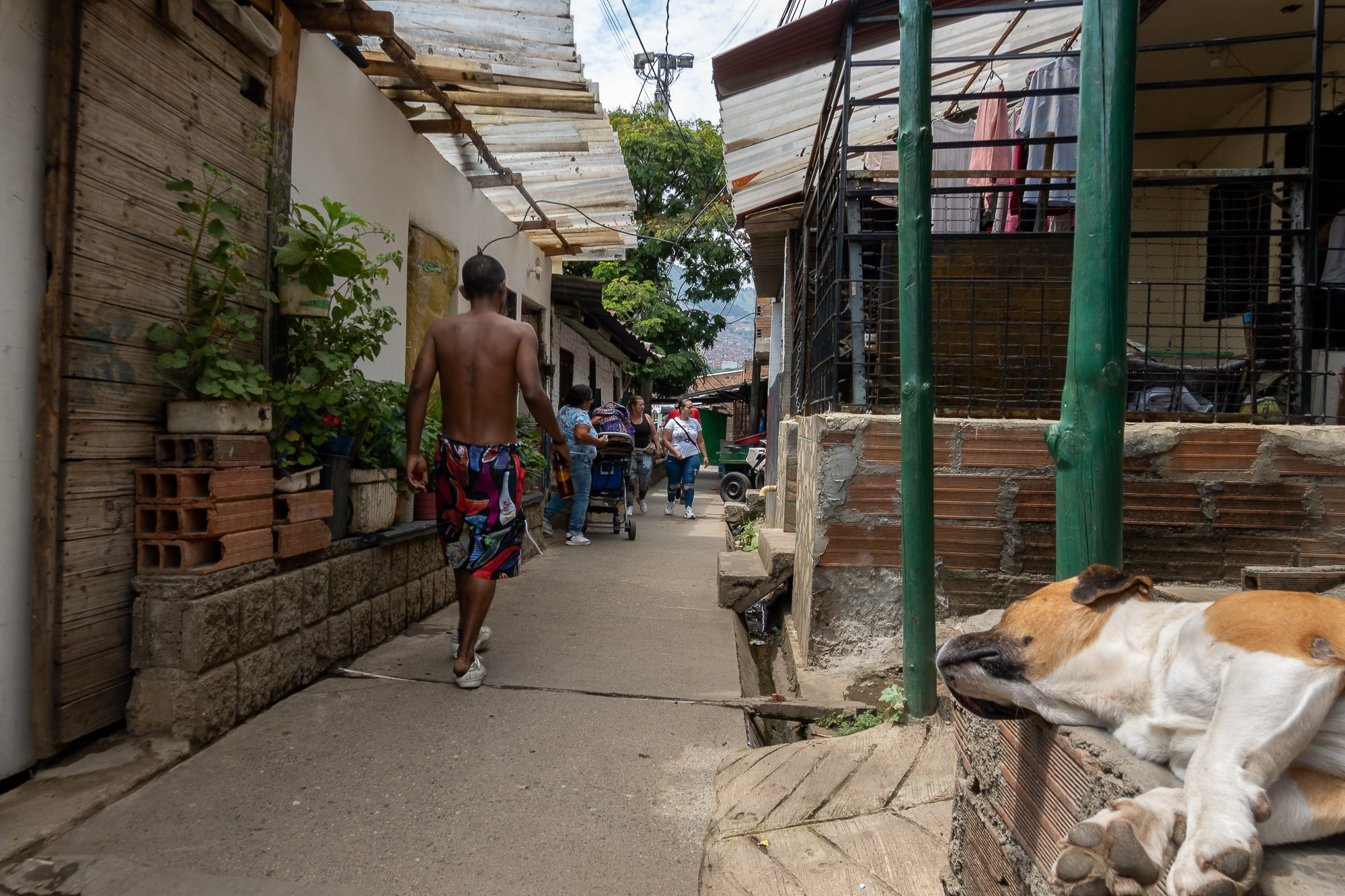 Колумбия Медельин. Colombia Medellin. Фотограф Алексей Скоробогатько