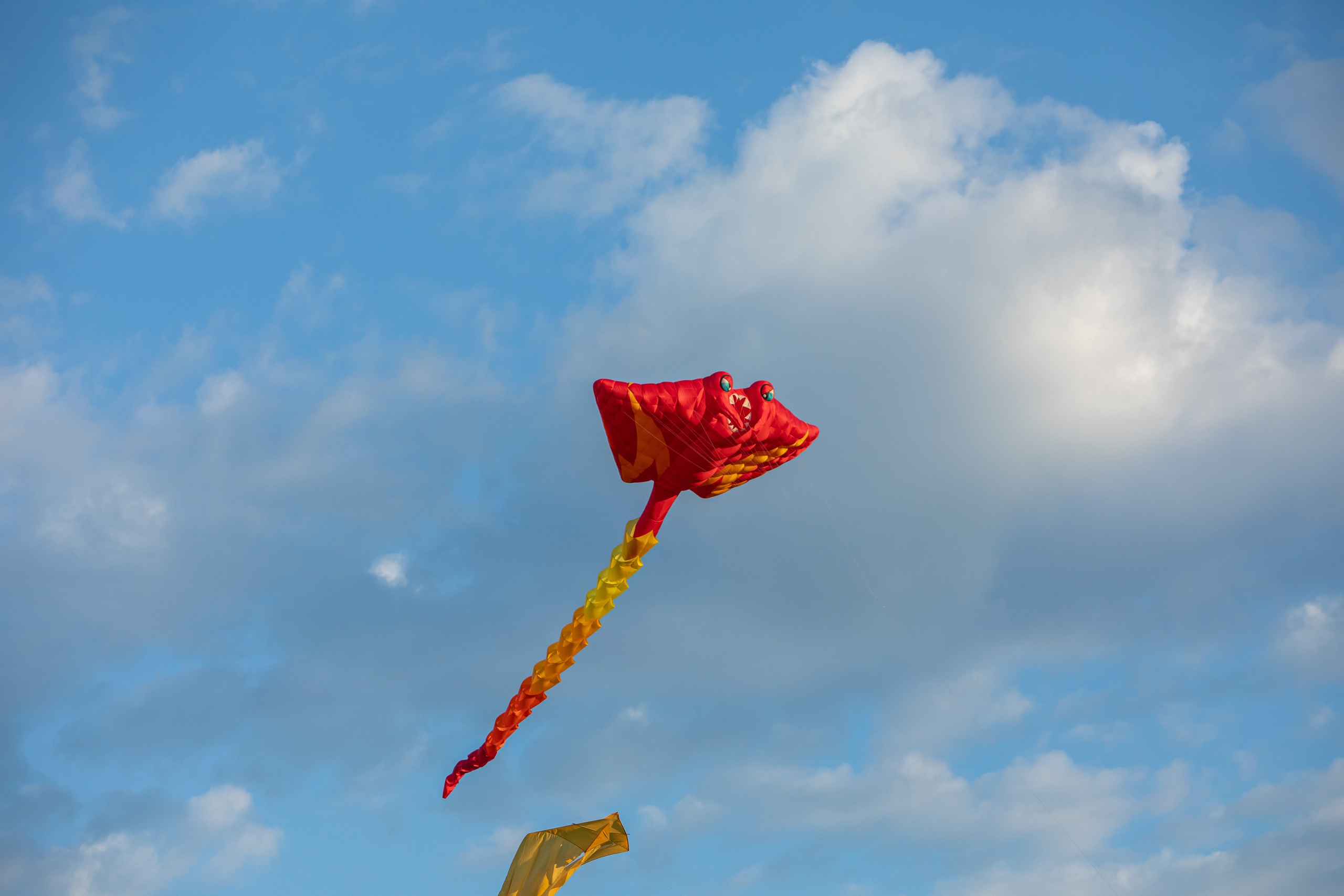 Небо России 2024, г. Рязань. Фотограф Сергей Ловкий