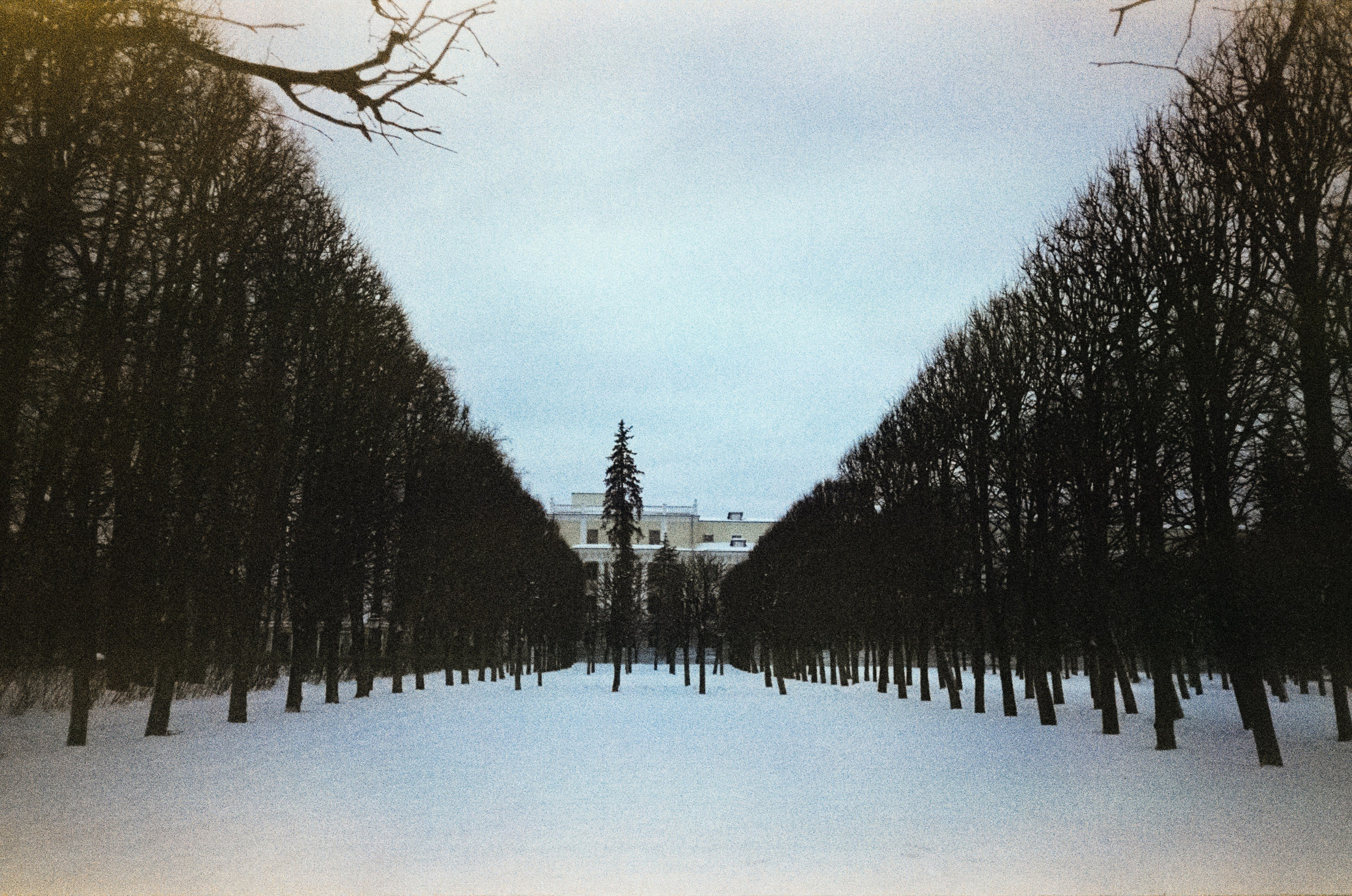 Fujicolor Superia 200 (просрочка) / Cosina CX-1 / 6 января 2025 года Усадьба Архангельское