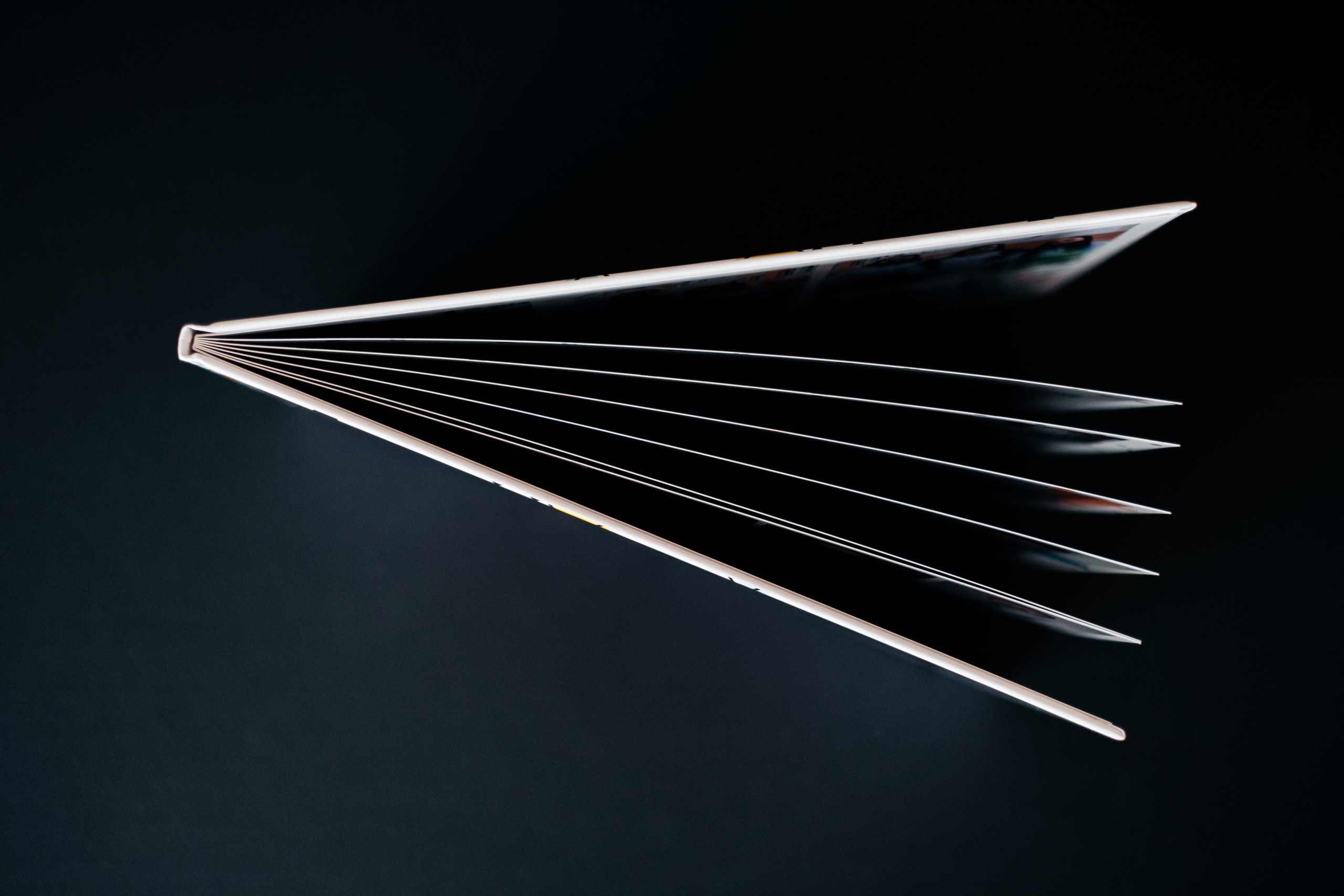 Фотосъемка выпускников. Свадебный и репортажный фотограф Евгений Рудницкий