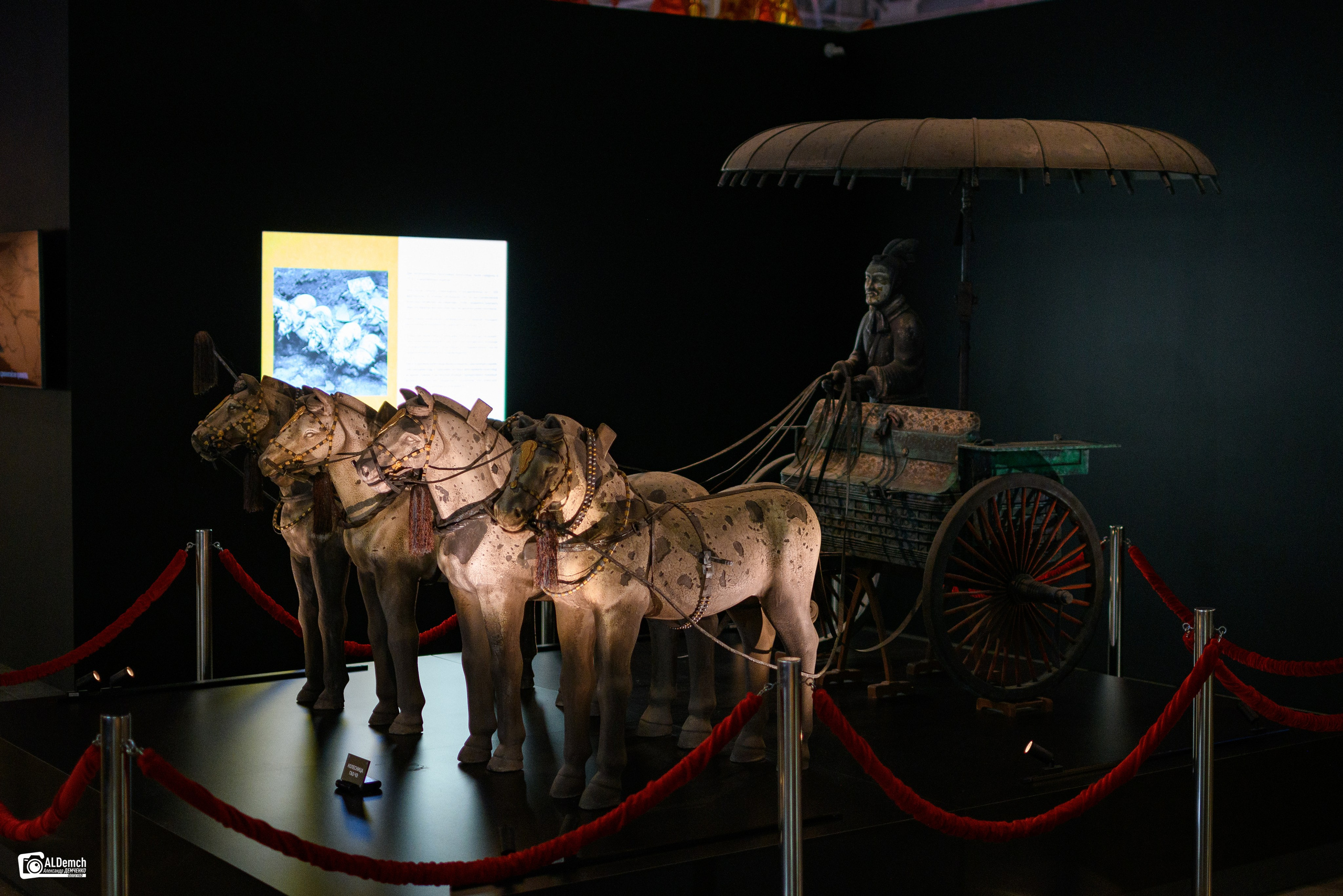 Фото с выставки Терракотовая армия. Бессмертные воины Китая