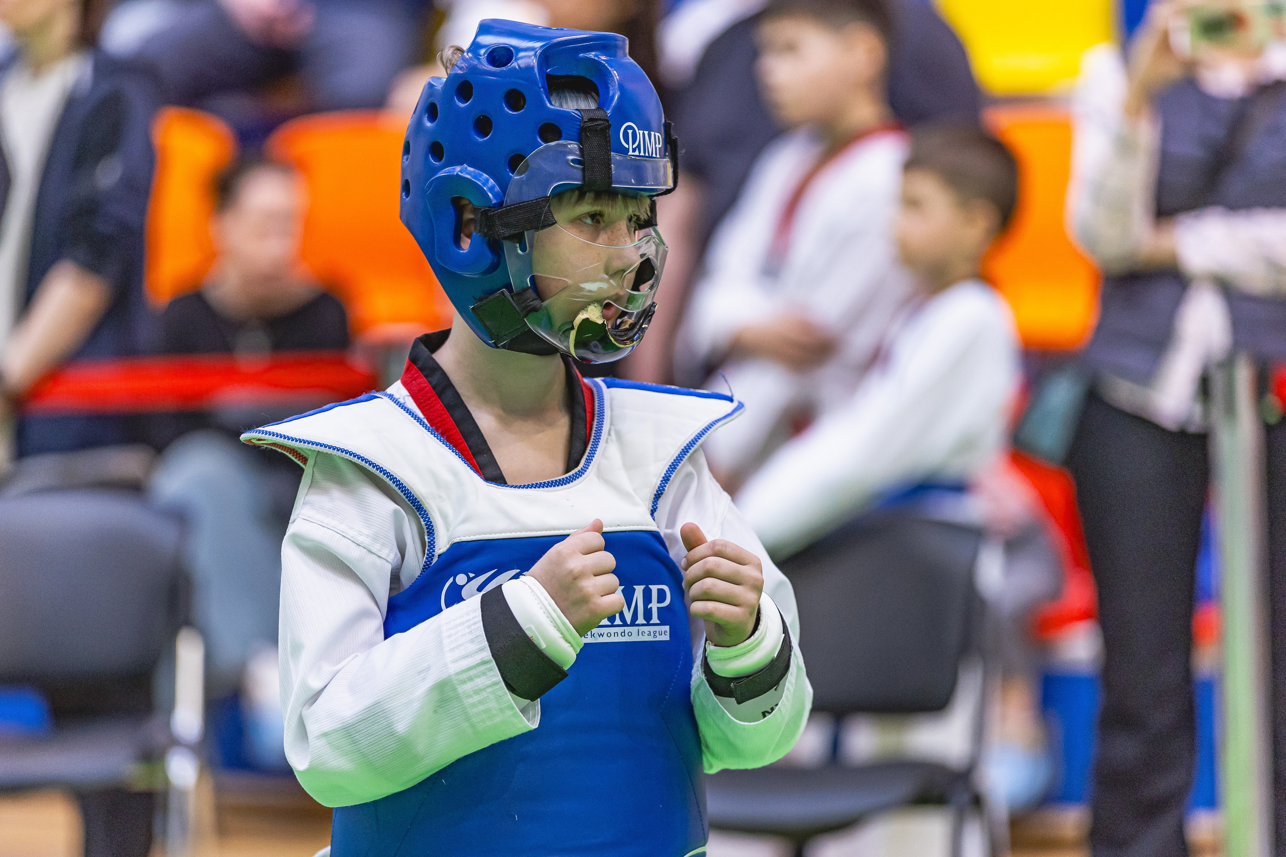 Турнир ВДЮФСОО «ФЕДЕРАЦИЯ ДЕТСКОГО ТХЭКВОНДО РОССИИ» и МОО СПКЕ «ЭРИДАН» по «СПОРТИВНОМУ БОЮ КЕРУГИ». Спортивный фотограф Максим Серегин