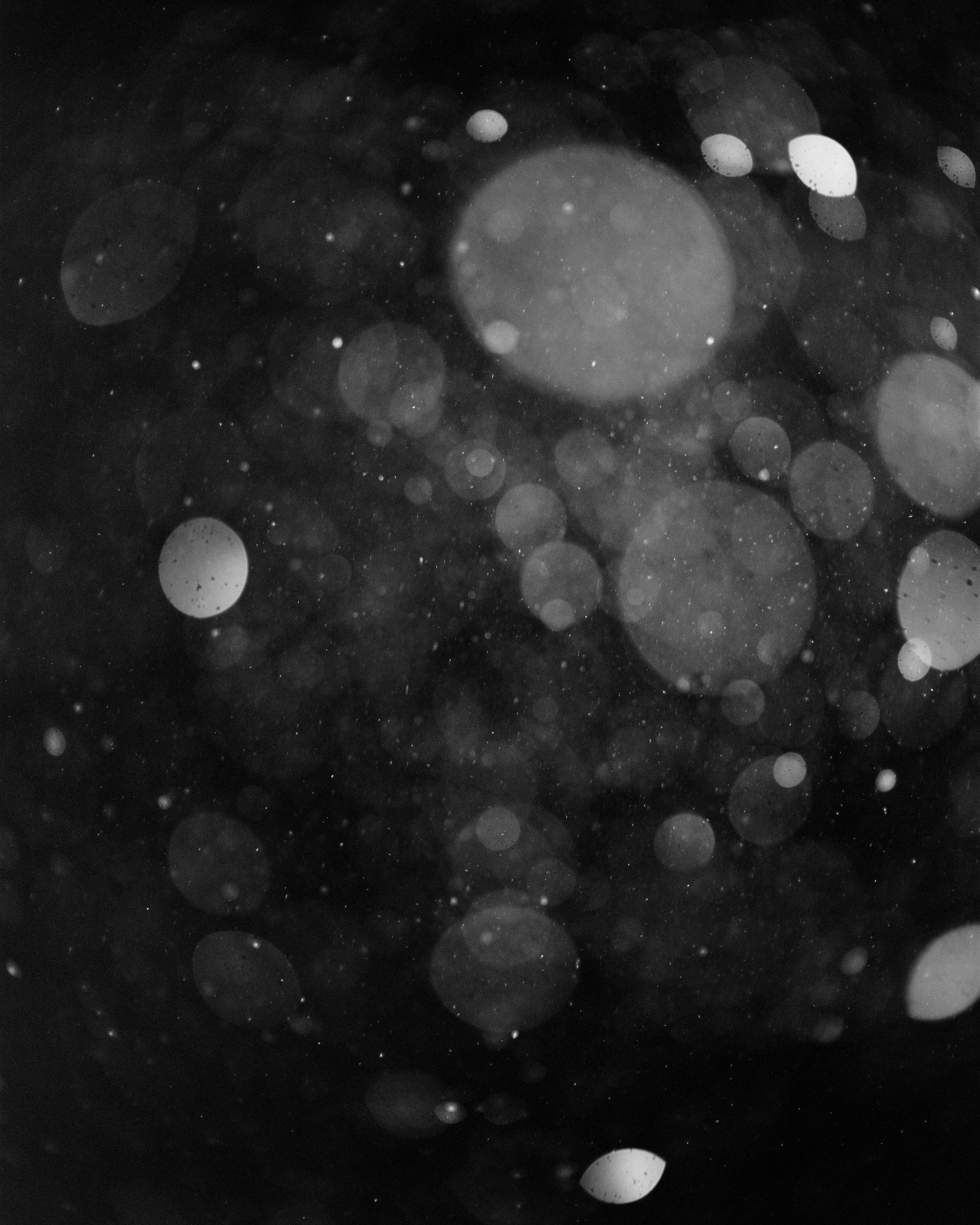 Проект «Wander Lines» Тевы Косич (Teva Cosic). Private image