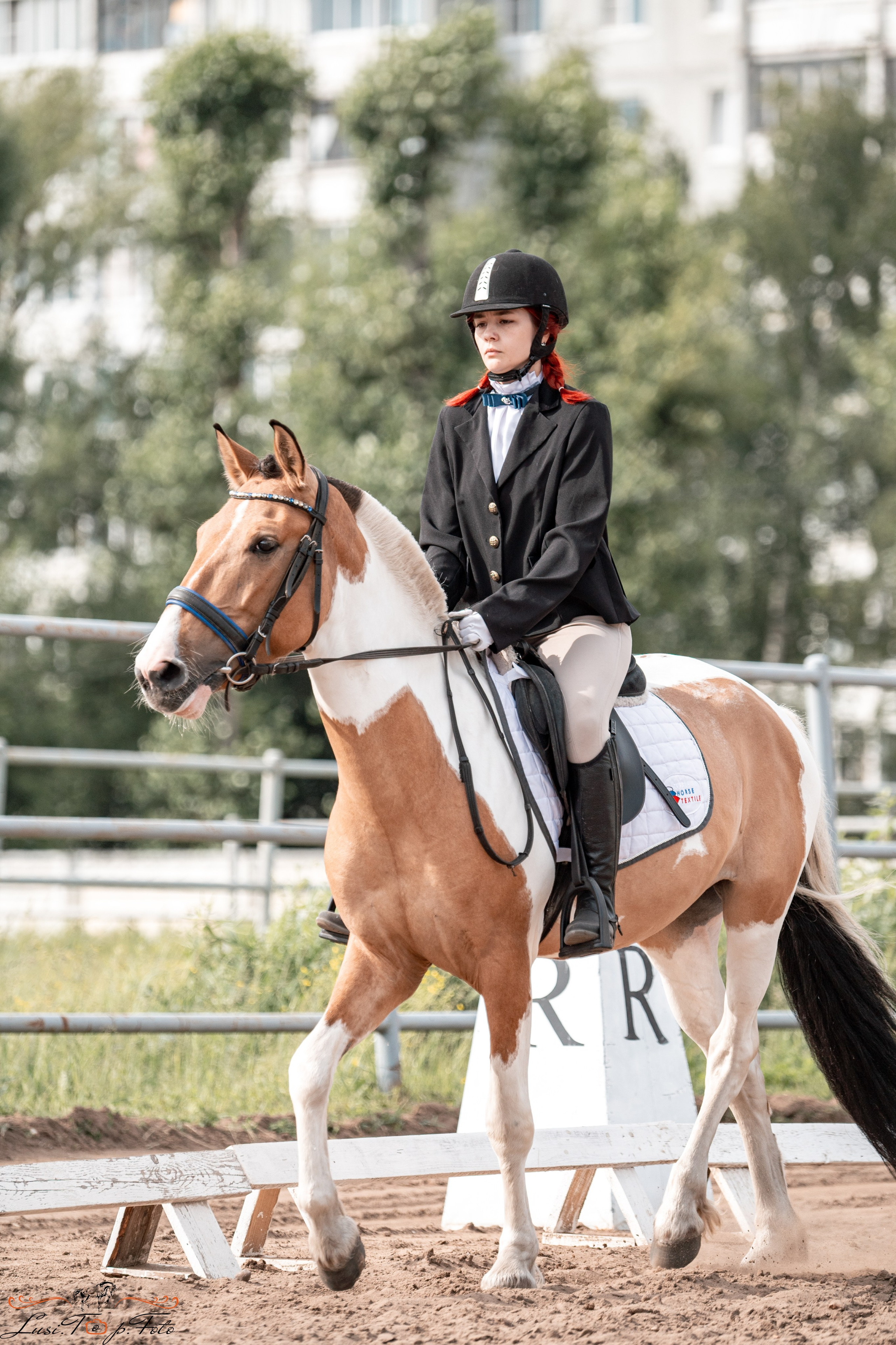 Областные соревнования по выездке. Тверь. Конный и фотограф с животными в Твери Топталова Люся