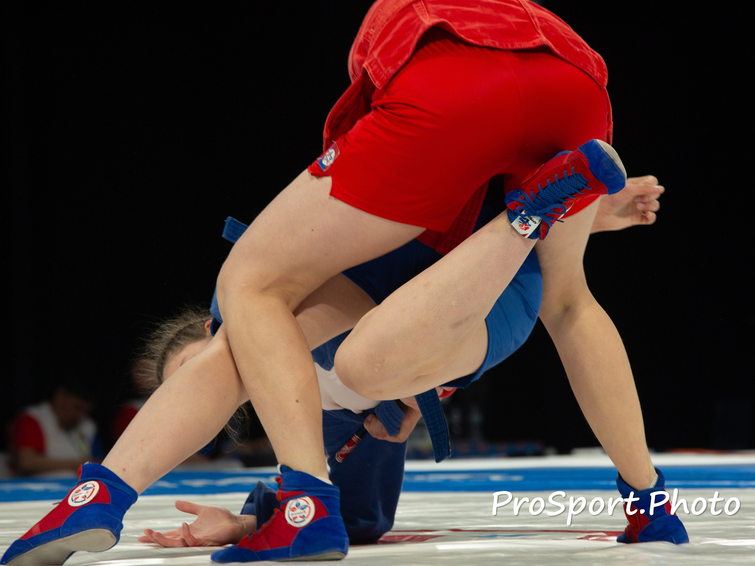 «Спорт через объектив: история в каждом снимке!»