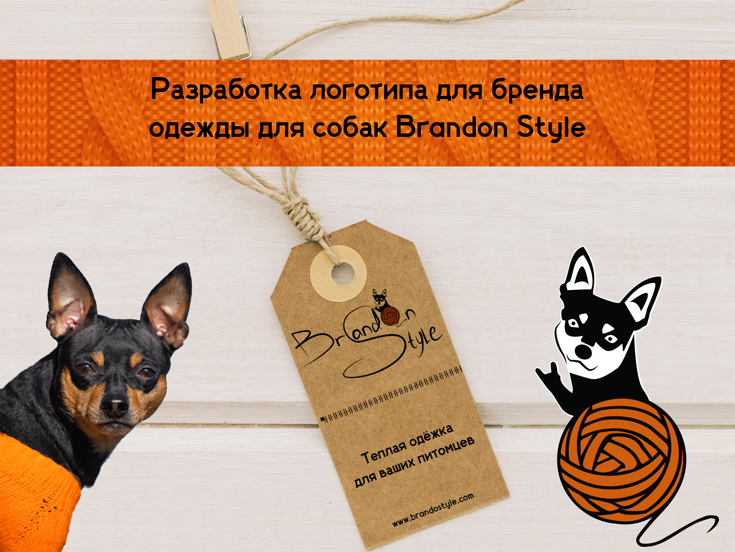 Портфолио Дизайн. AI-контент (генерации ИИ-фото и видео), стоковые фотографии Калининградской области