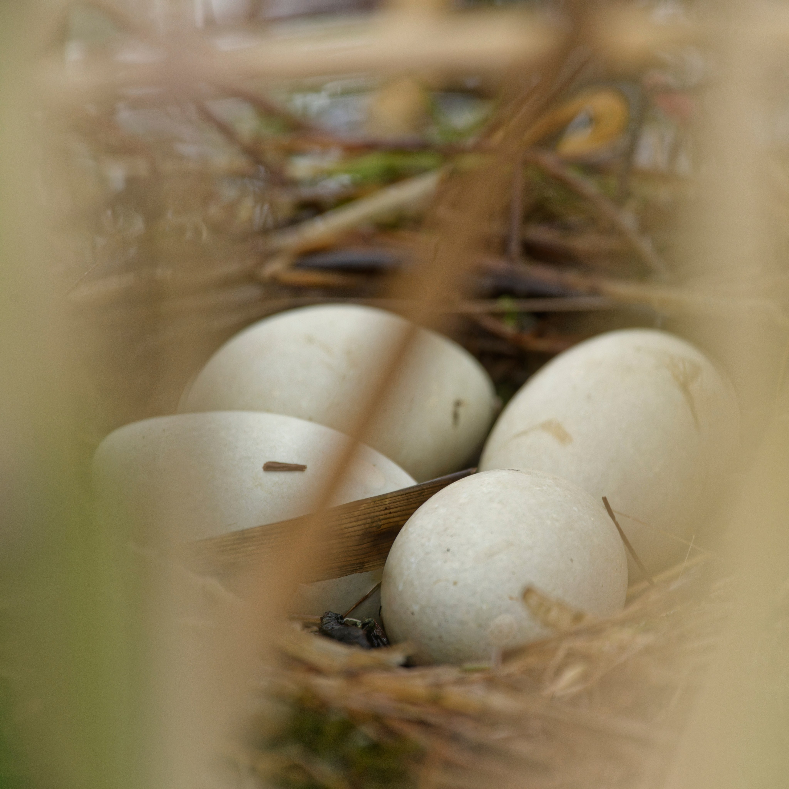 Экспедиция в Монголию (котловина больших озер). Семоха Валерий. Фотограф
