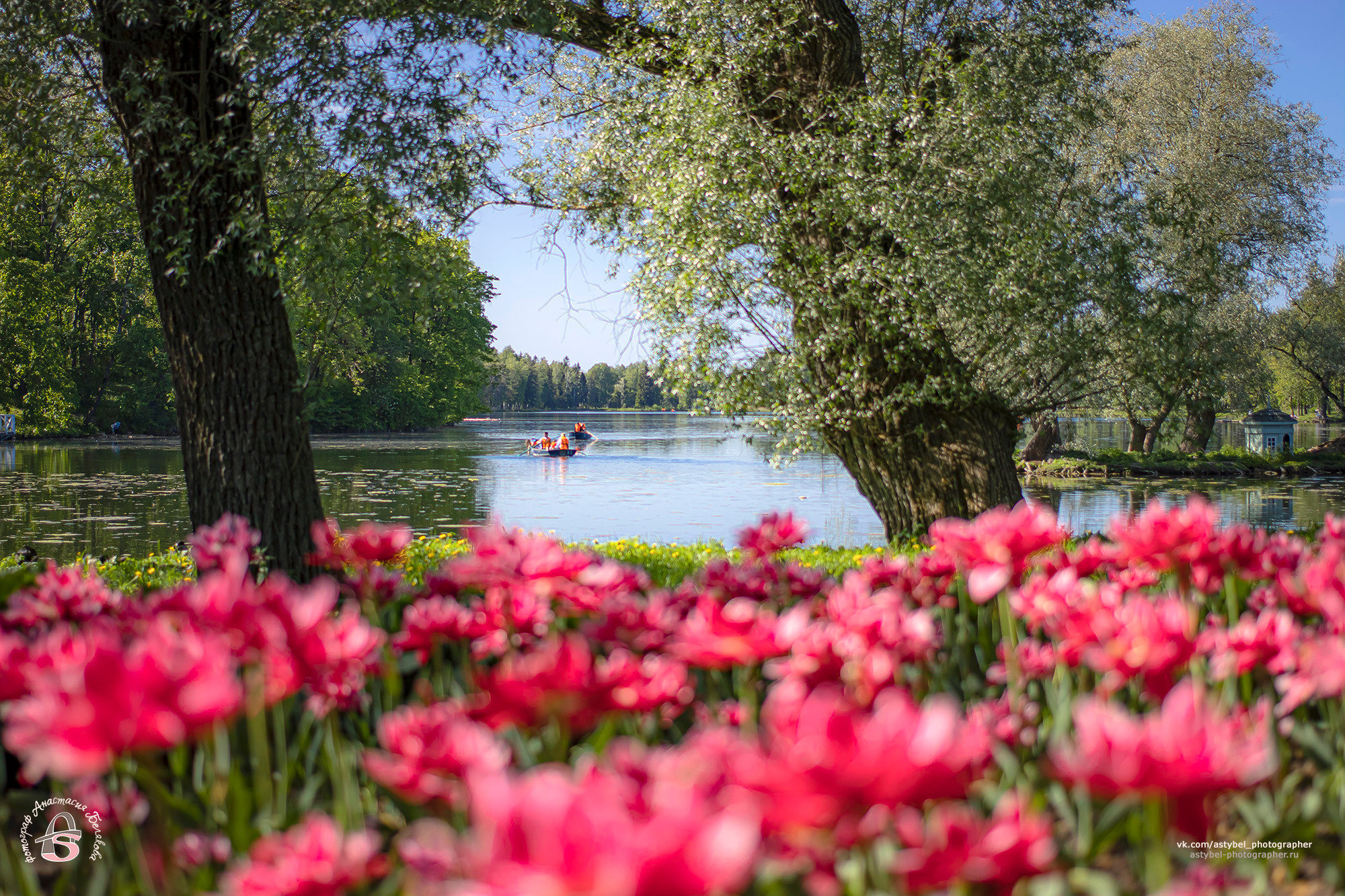 Фотограф Анастасия Белякова в Санкт-Петербурге и Гатчине