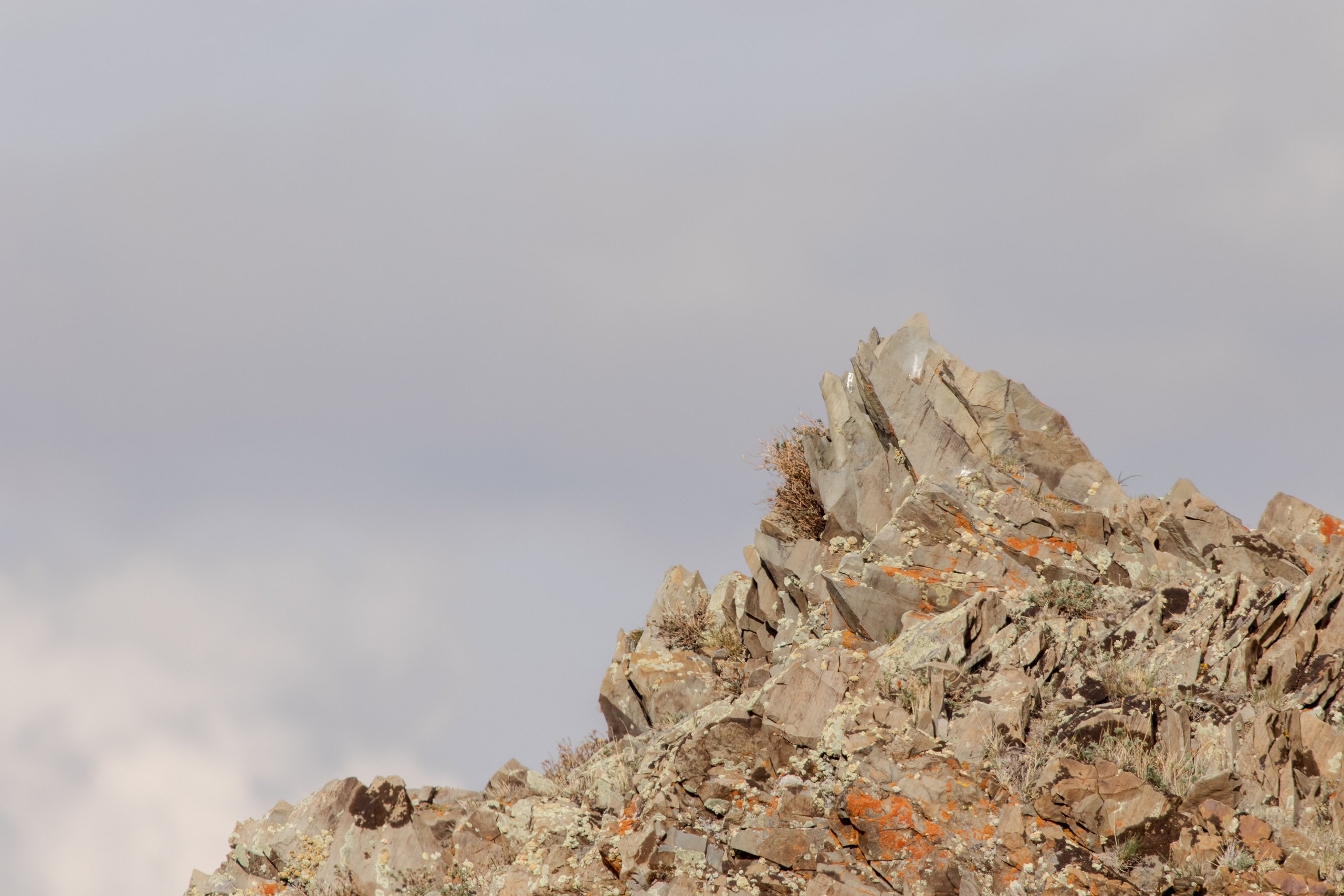 Горный Алтай. Фотограф Кирилл Мешков Кемерово