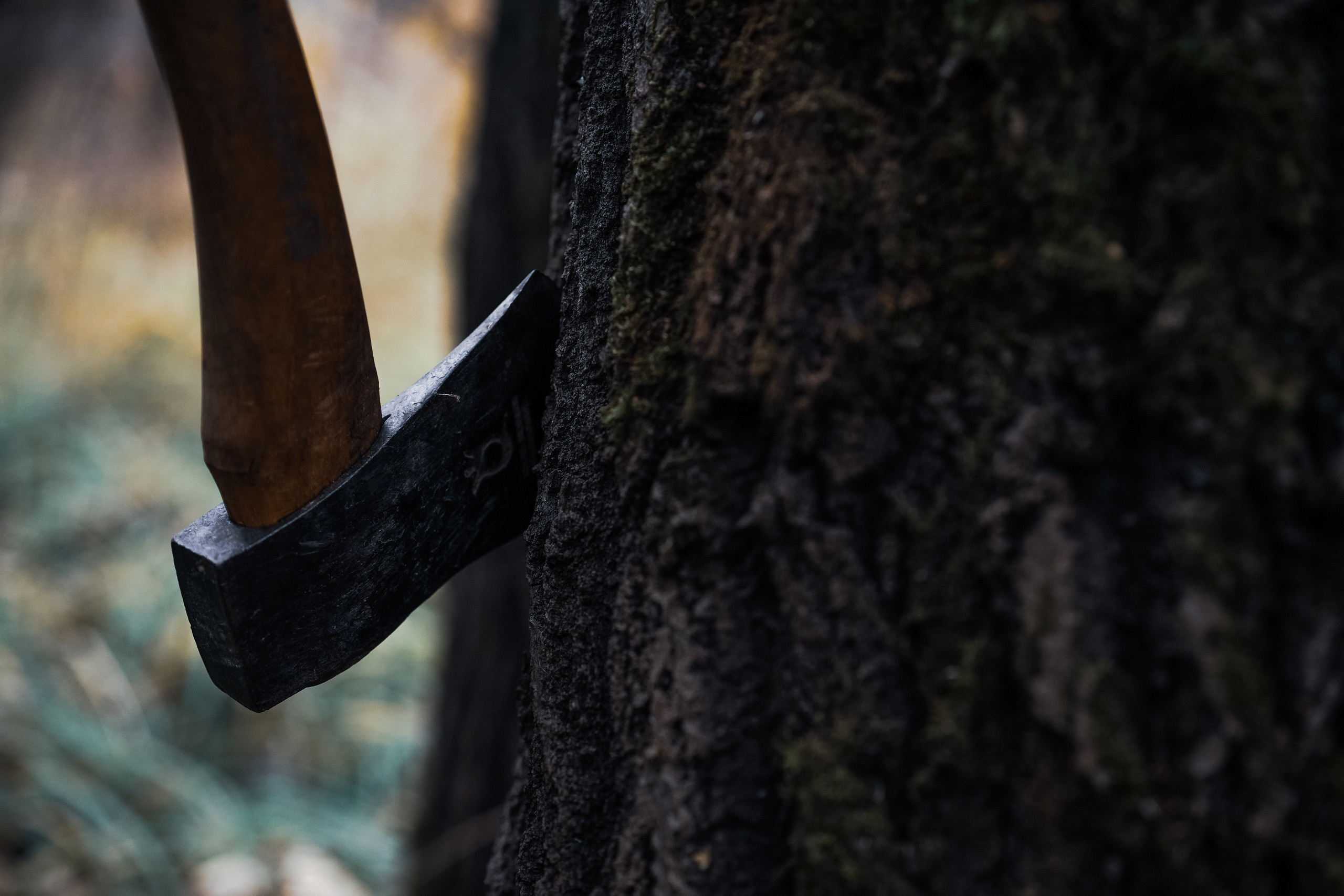 Железная дорога, горящие новости и топор. Портретный и семейный фотограф в Москве Мария Ахметсафина