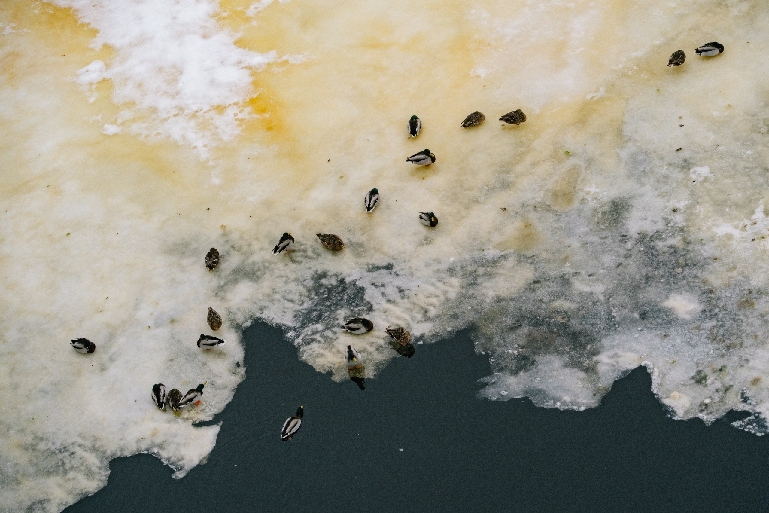 Великий Новгород моими глазами. Детский, семейный и ньюборн фотограф в Москве Юлия Шуарт