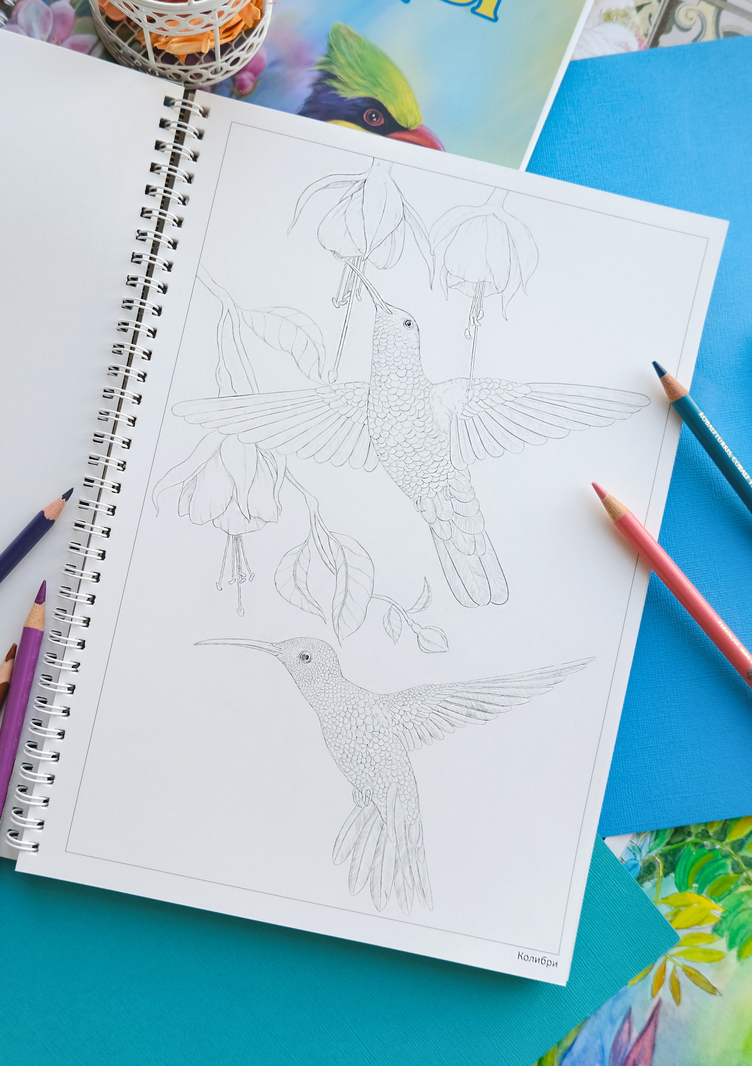 Авторская раскраска от художника Птицы. Раскраски Алёны Лазаревой
