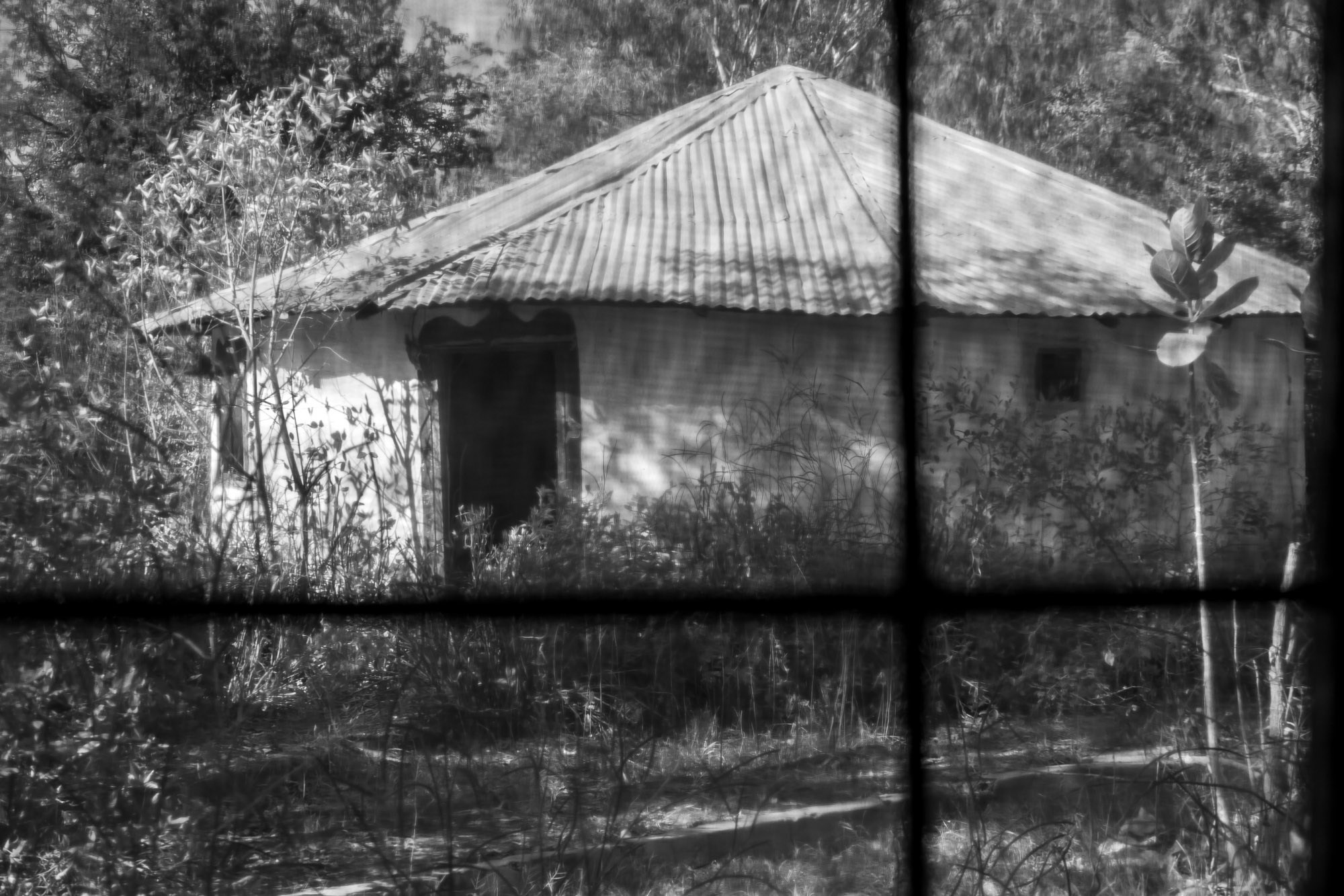 Путешествие по Гамбии (Западная Африка).Traveling in Gambia (West Africa.). Фотограф Алексей Скоробогатько
