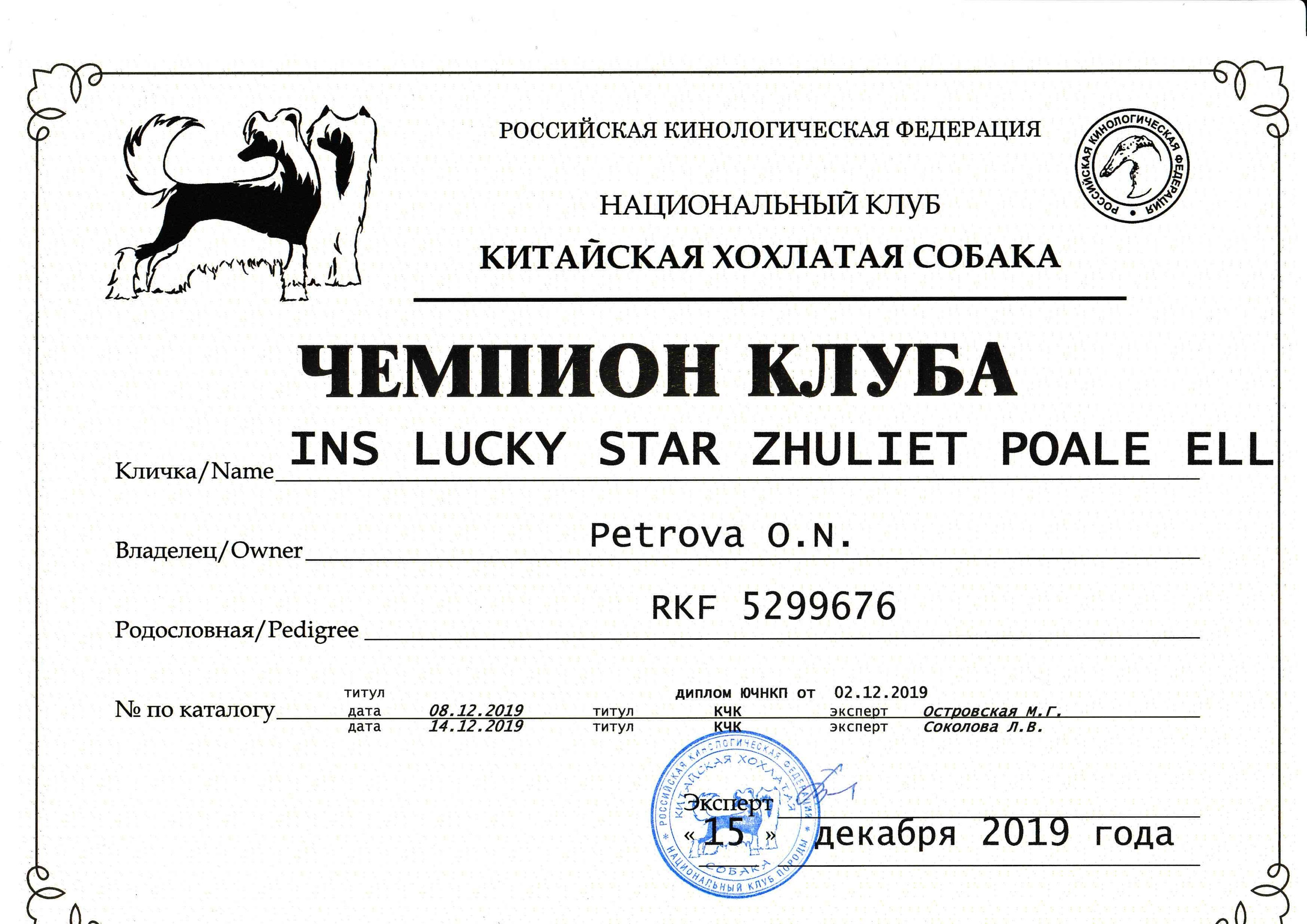 Ins Lucky Star Zhuliet Poale Ell. Питомник китайских хохлатых собак Poale Ell: купить щенка