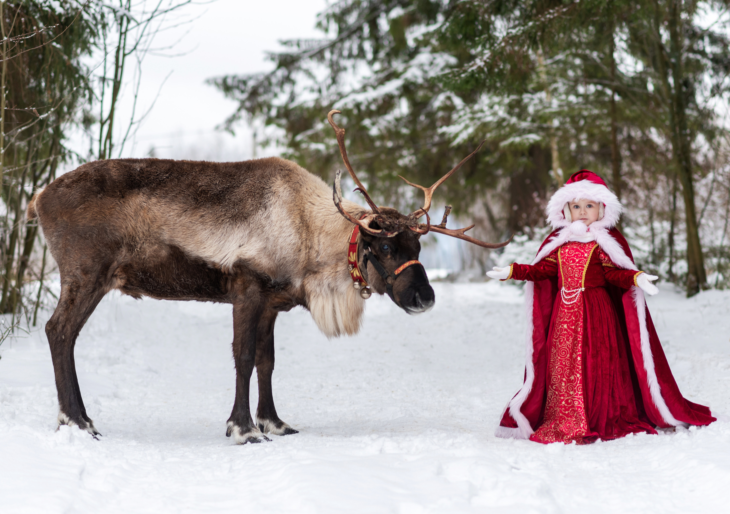 Аленка. Катя Барбус Фотограф Пермь