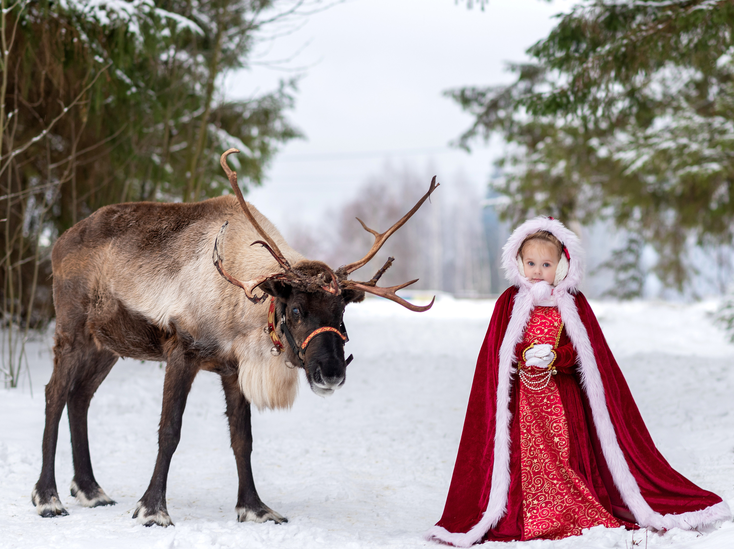 Аленка. Катя Барбус Фотограф Пермь