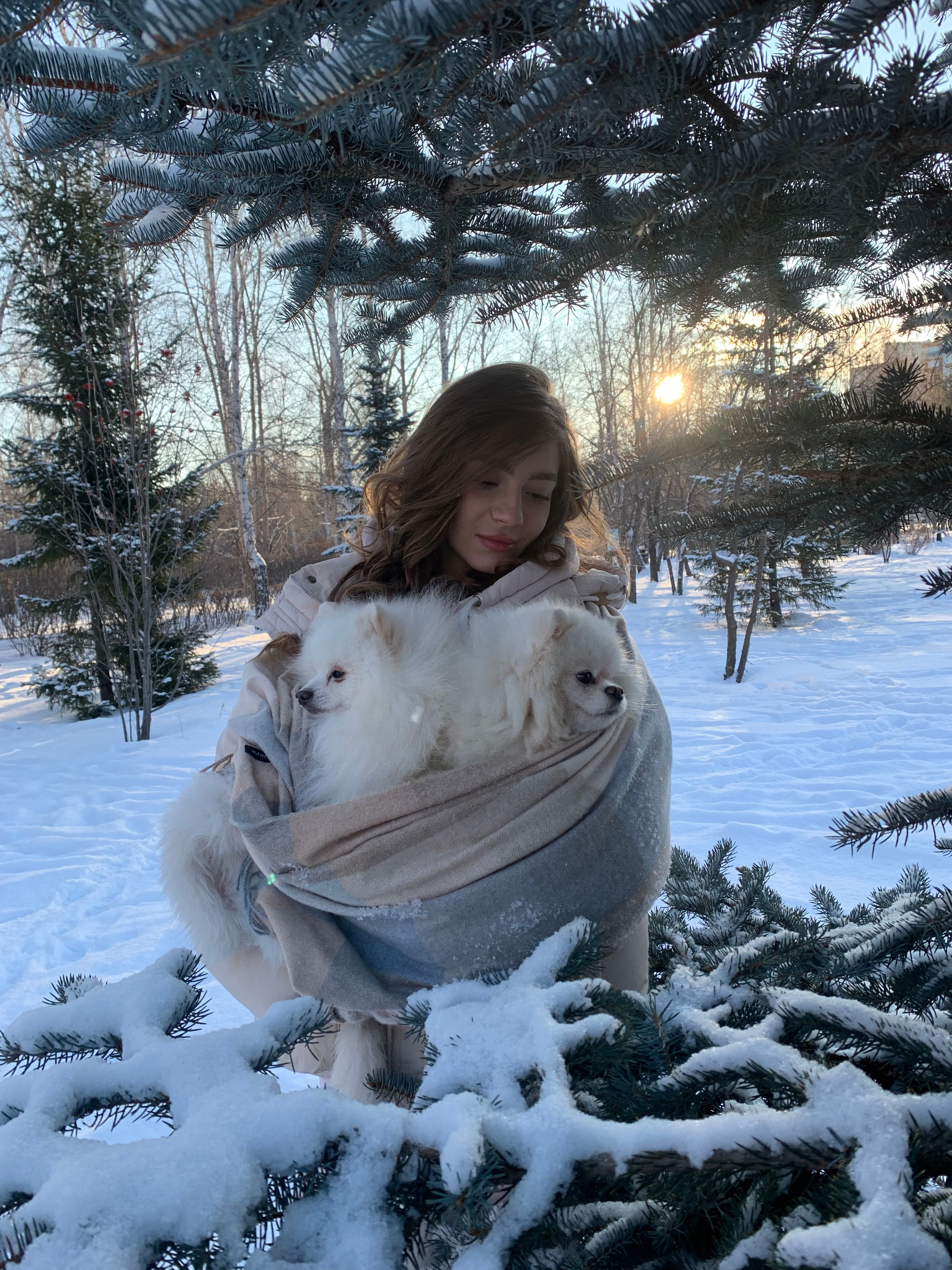 Юлия и шпицы