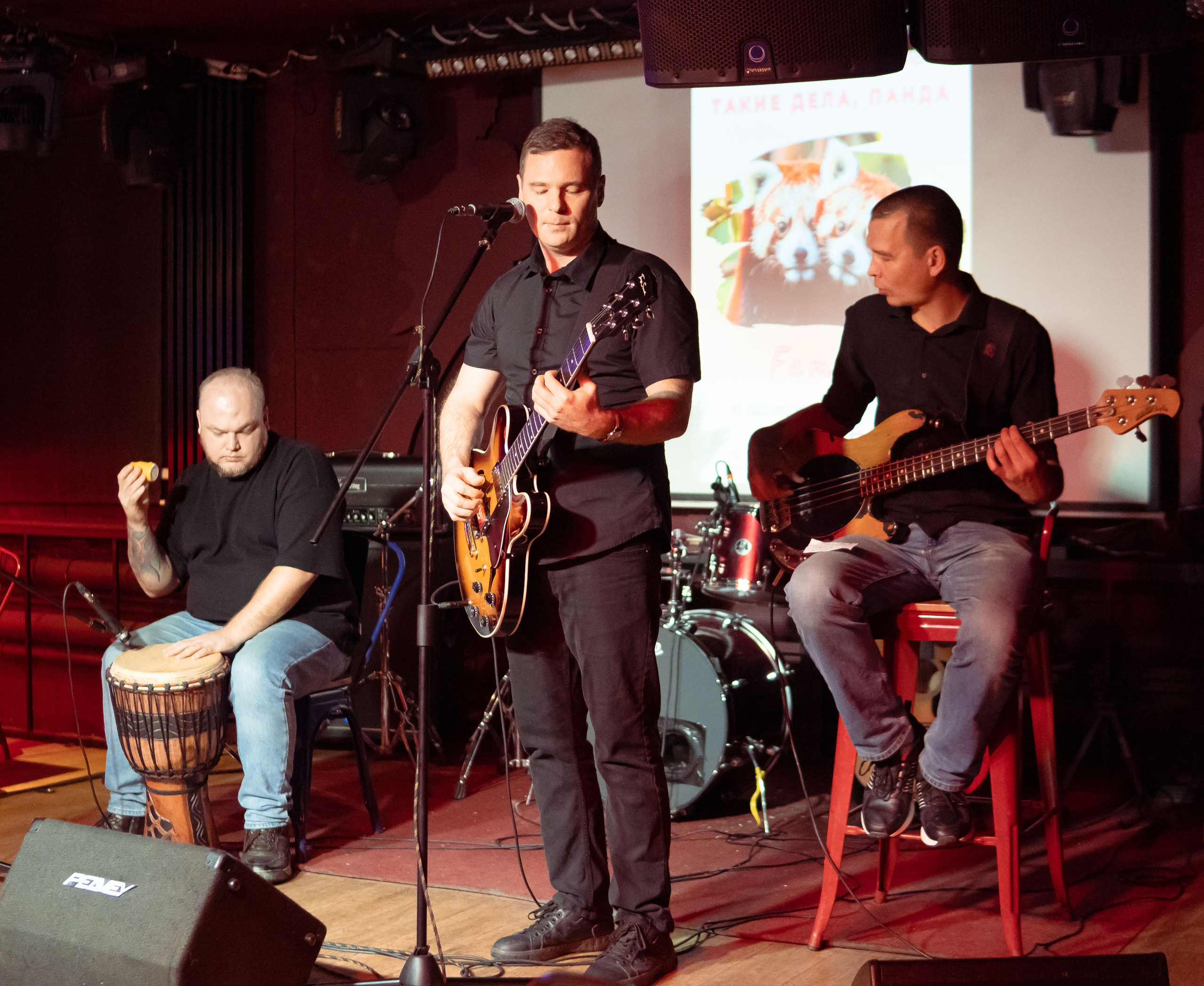 Репортажные фотографии творческого вечера Такие дела, Панда