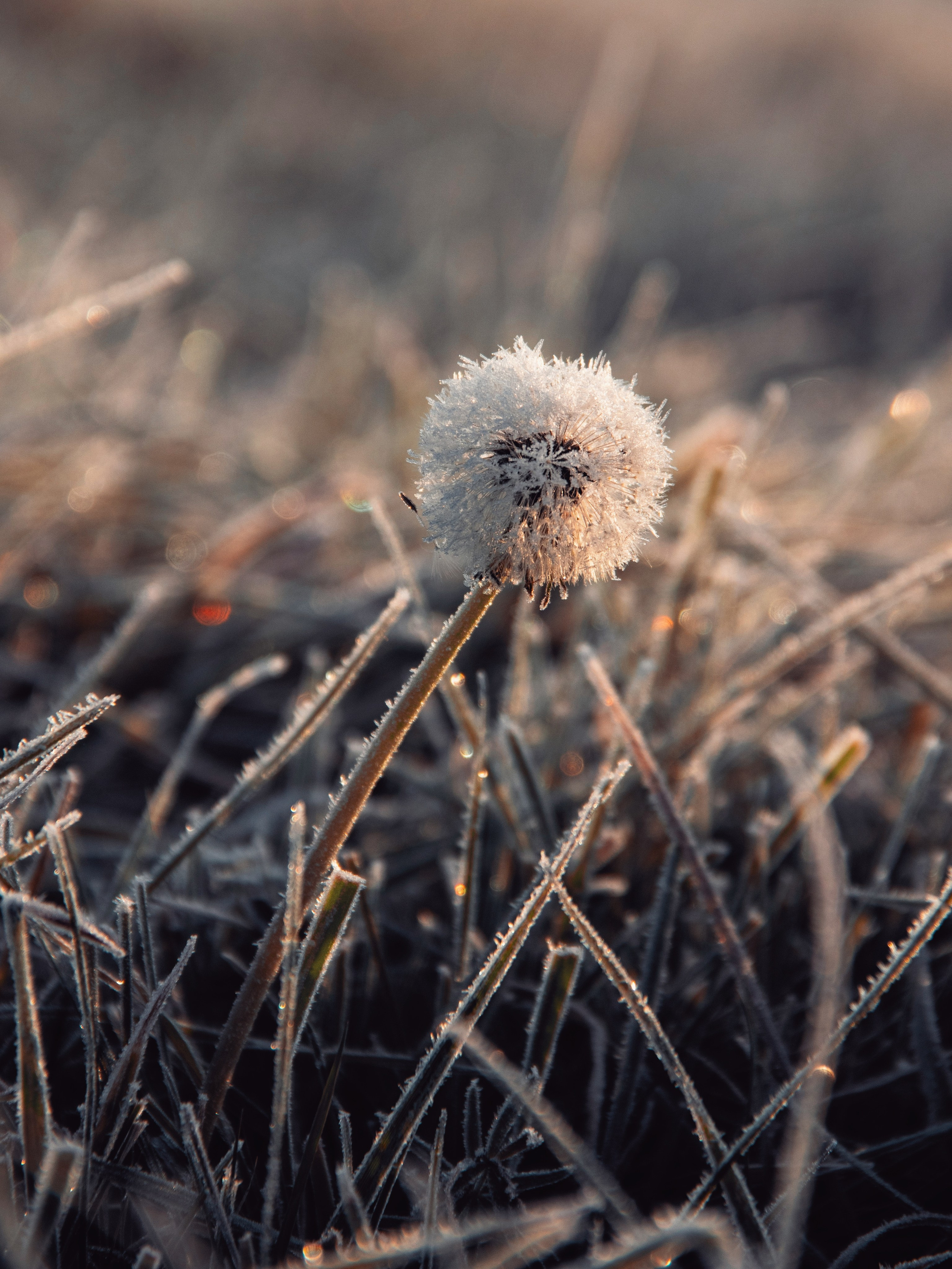 Волшебное утро в первый день октября. С любовью, фотохудожник
