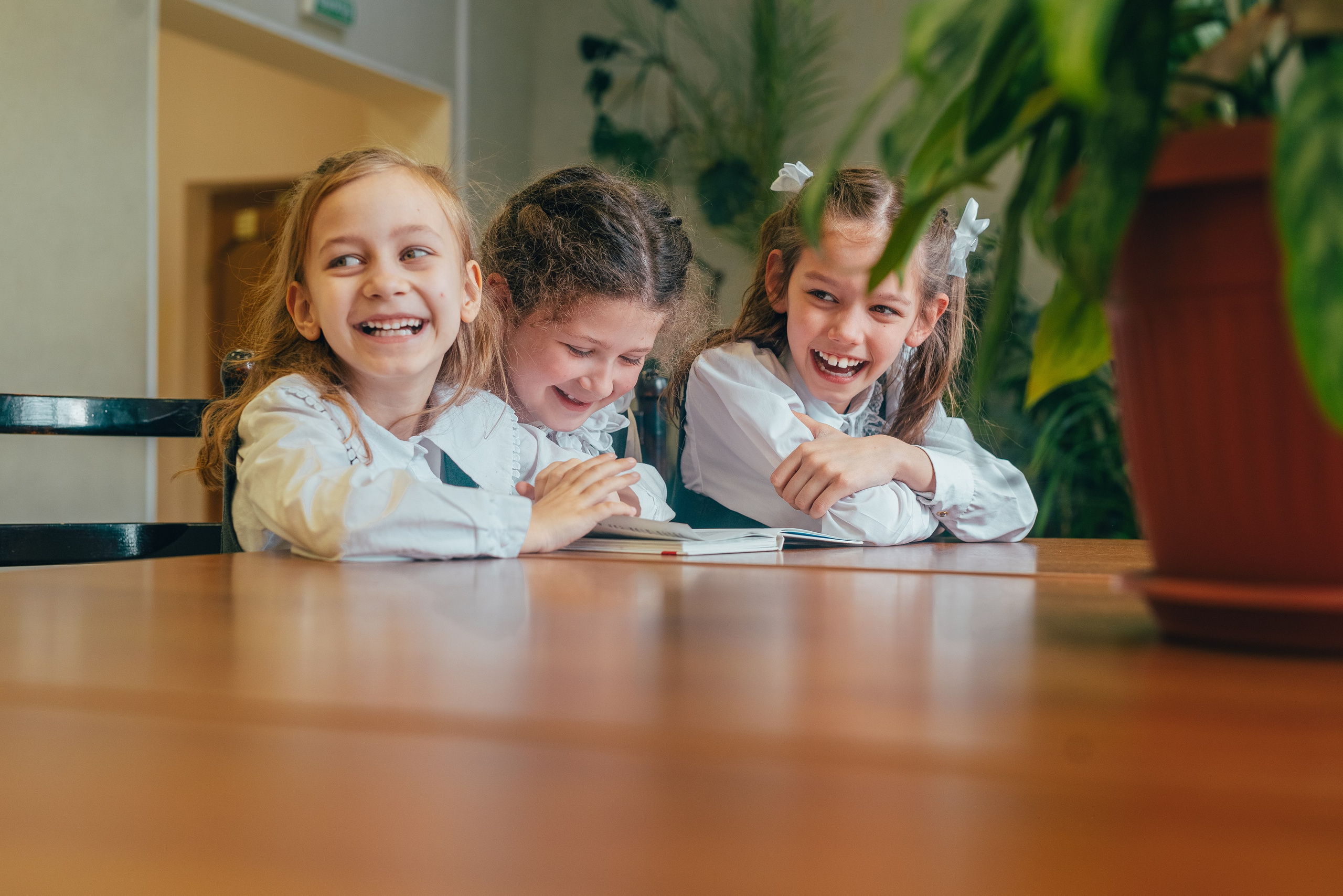 Школьные альбомы и альбомы для детского сада. Юлия Осипова. Москва