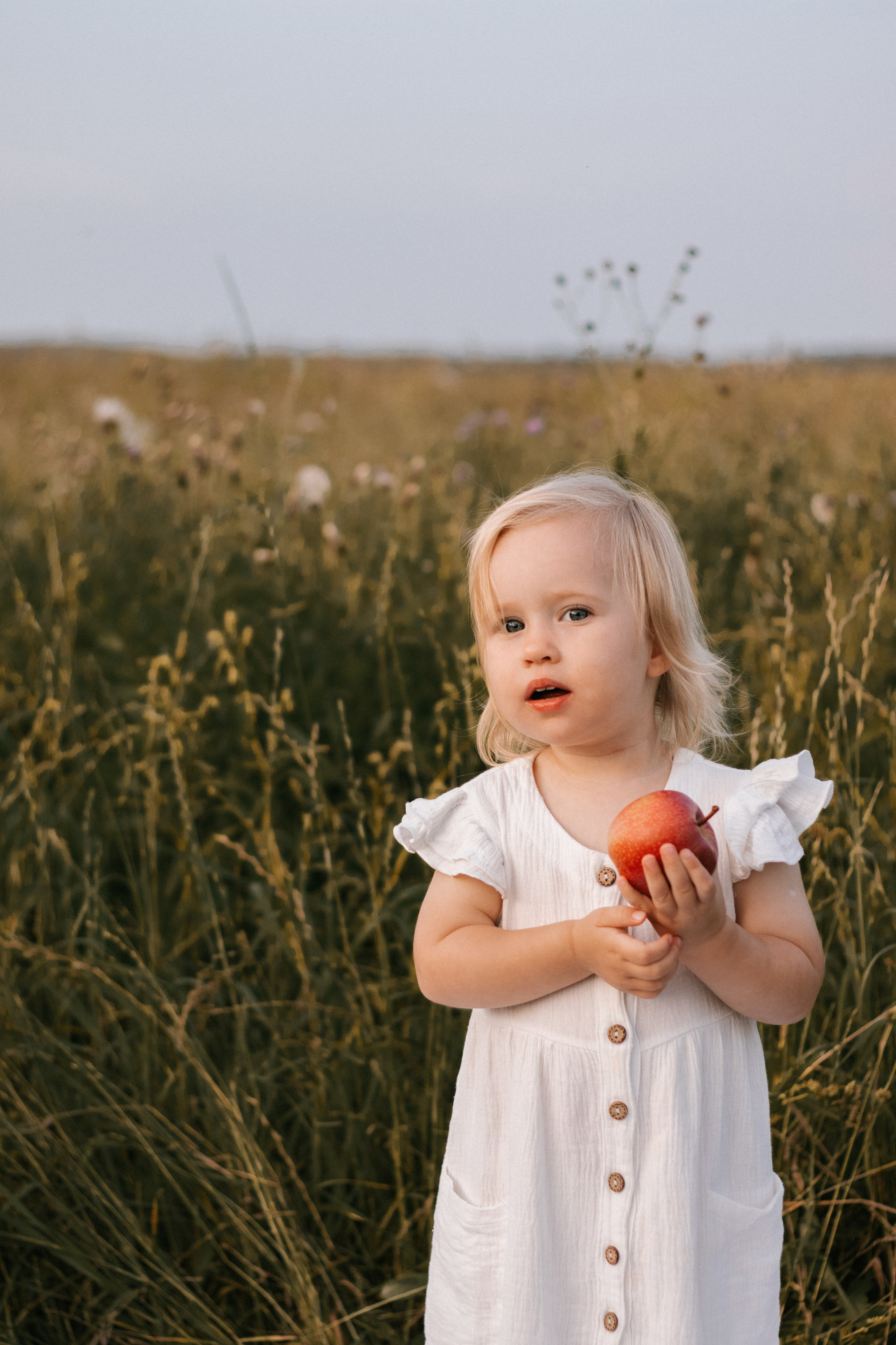 Семейная фотосессия в поле. Портретный фотограф Москва