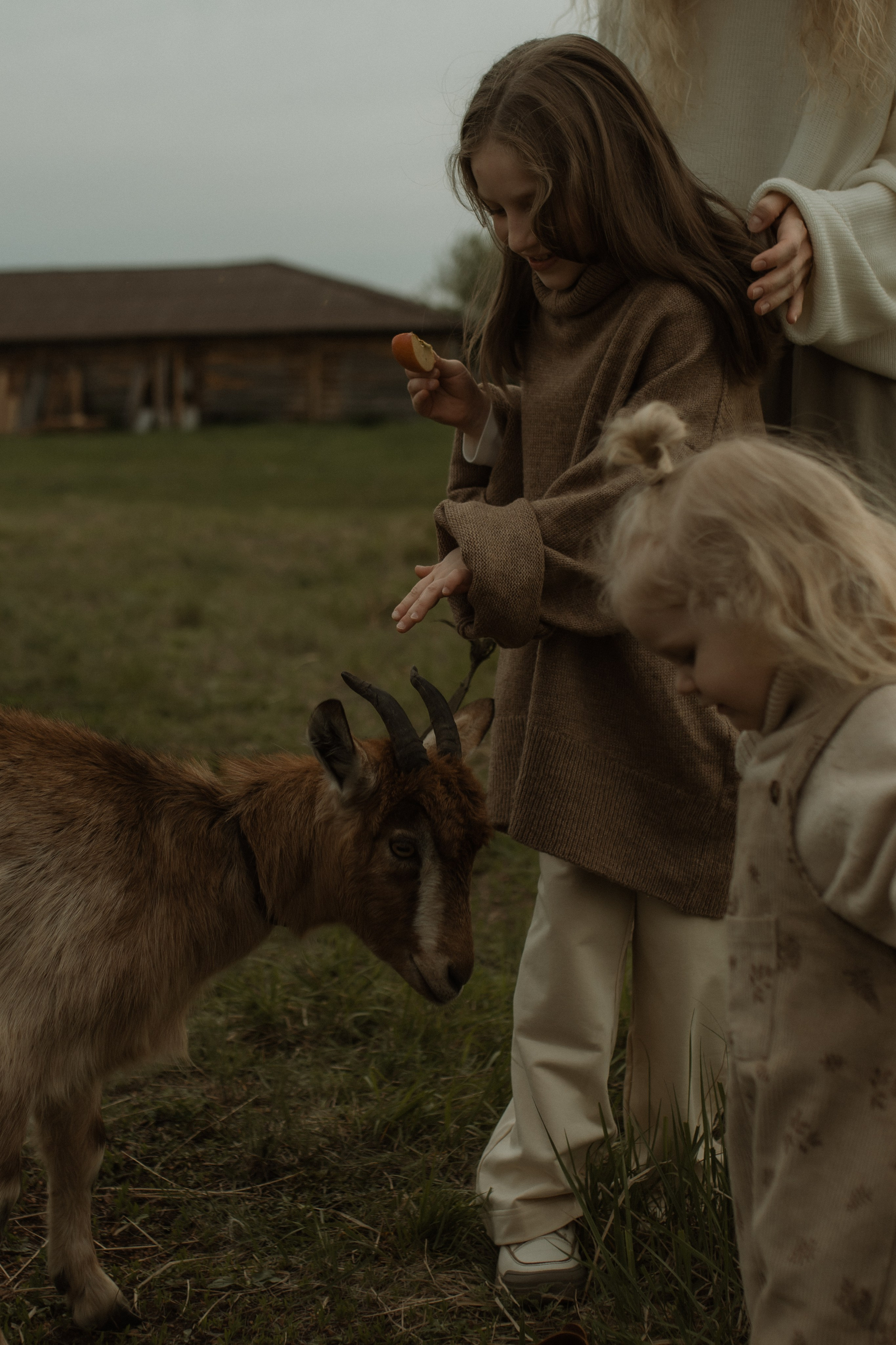 Услуги. Семейный фотограф Москва Кабанова Галина