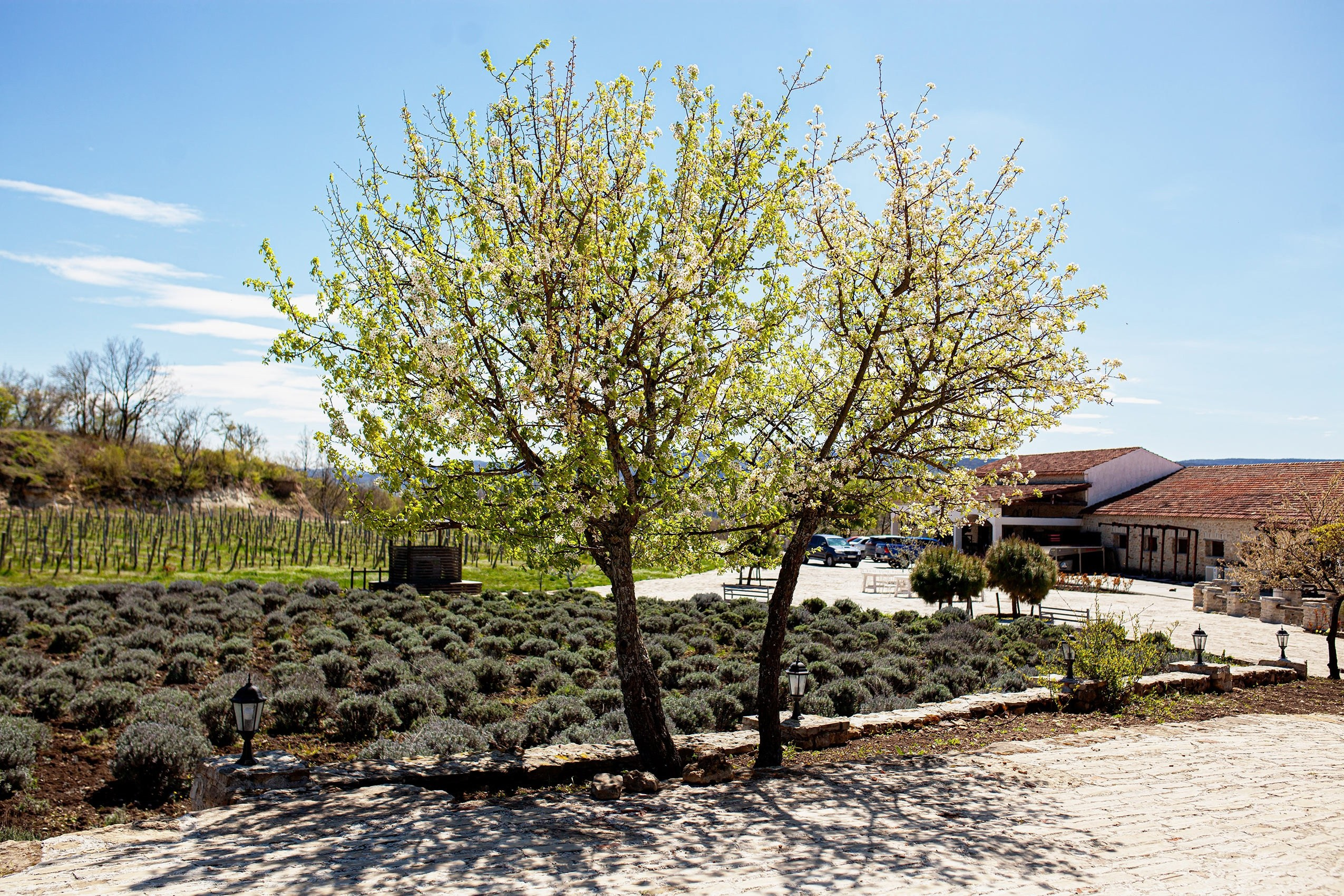 Красивые фото результат подбора хорошей локации