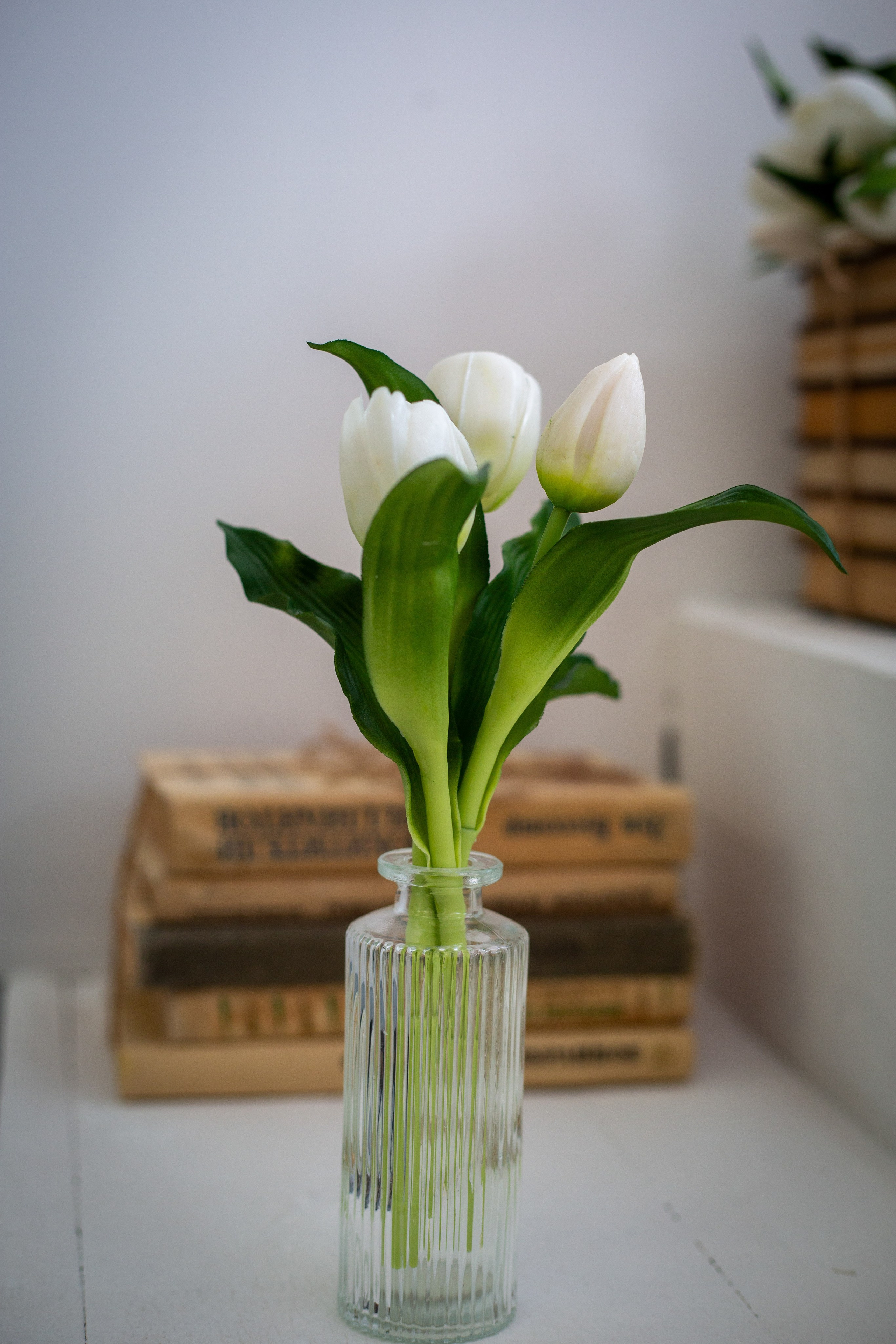 Фотостудия «Небо»