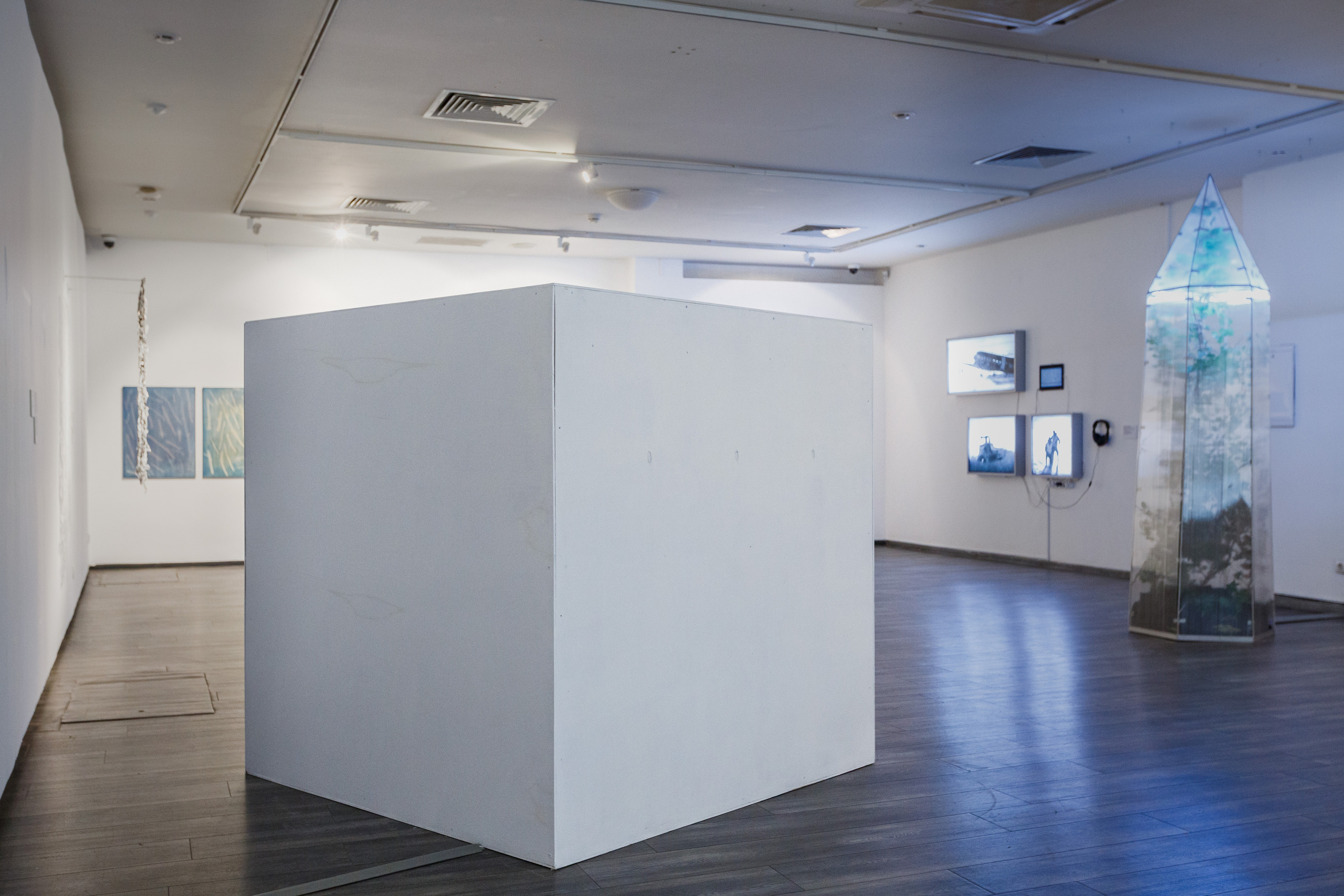 Olga Mikhalchuk, artist, with her installation Camera 0. Ольга Михальчук, художница и фотограф