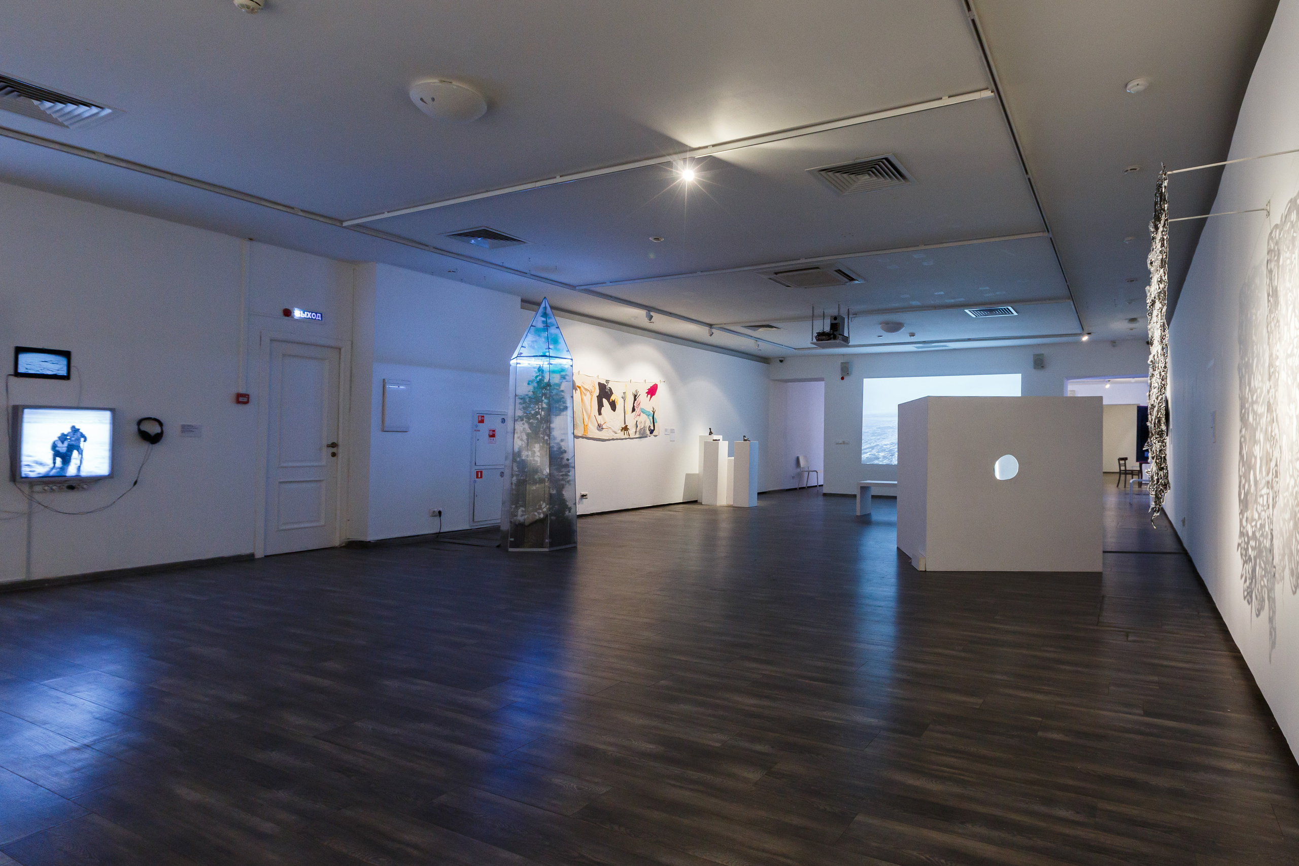 Olga Mikhalchuk and her work at Species-specific traits exhibition. Ольга Михальчук, художница и фотограф