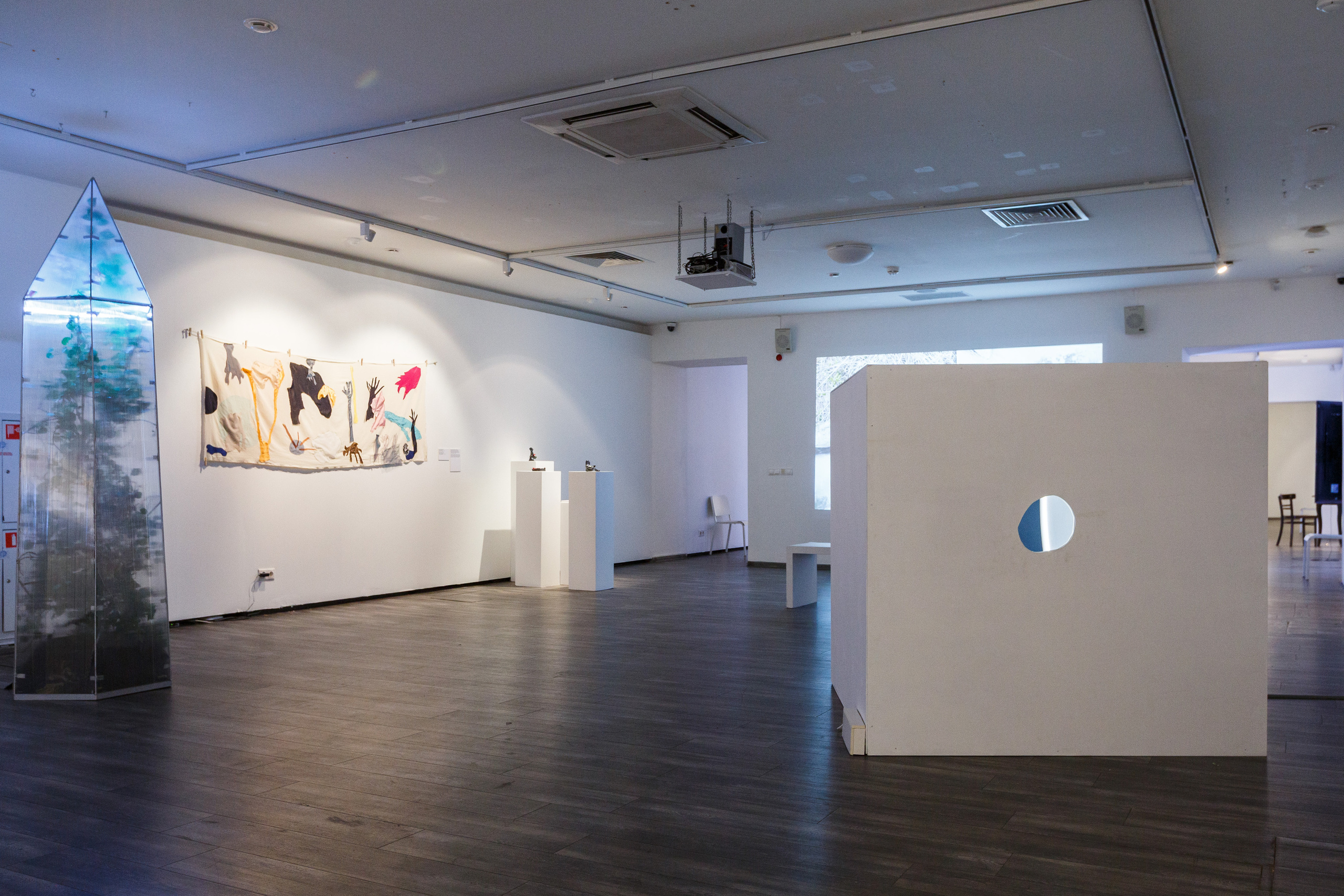 Olga Mikhalchuk and her work at Species-specific traits exhibition. Ольга Михальчук, художница и фотограф