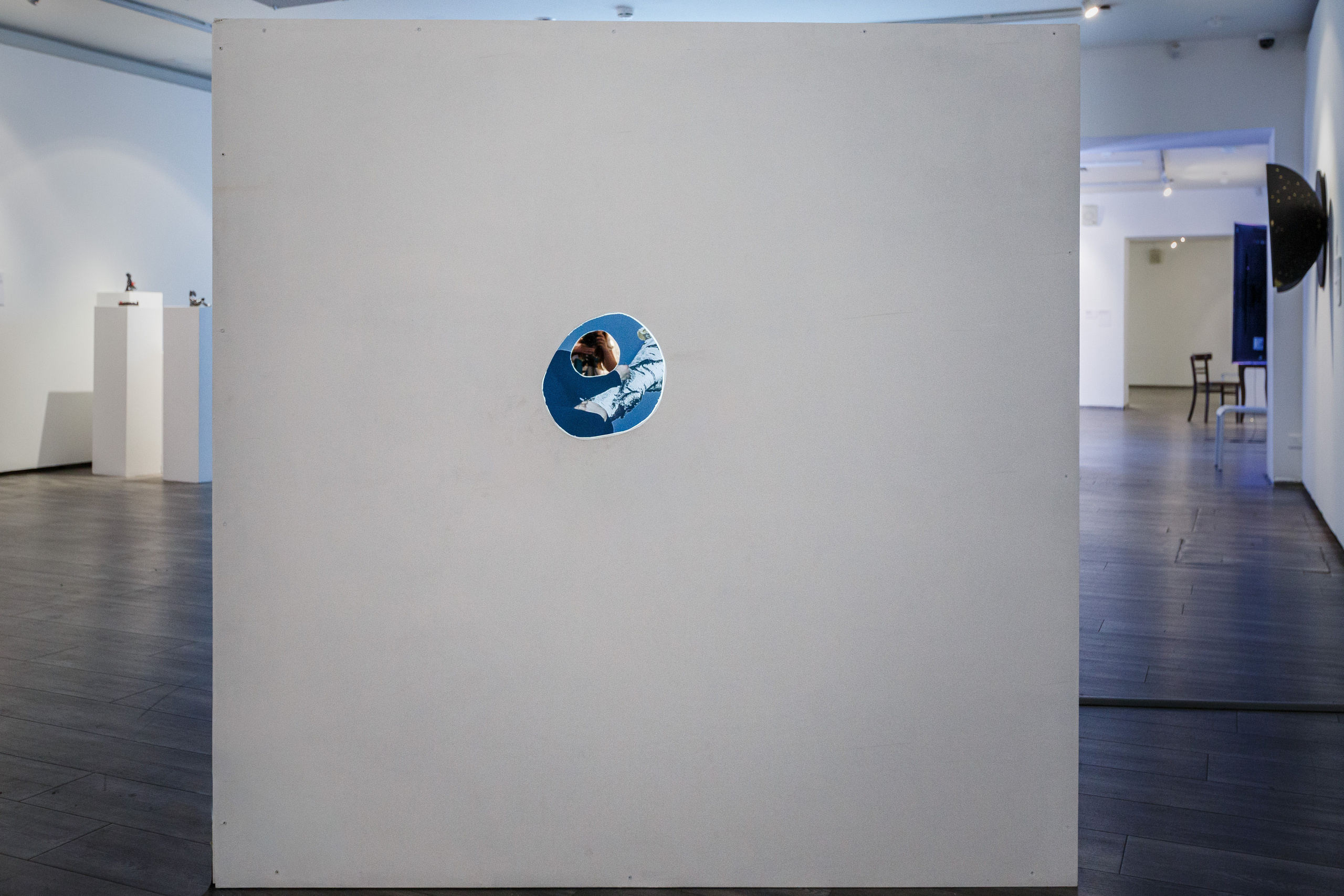 Olga Mikhalchuk and her work at Species-specific traits exhibition. Ольга Михальчук, художница и фотограф