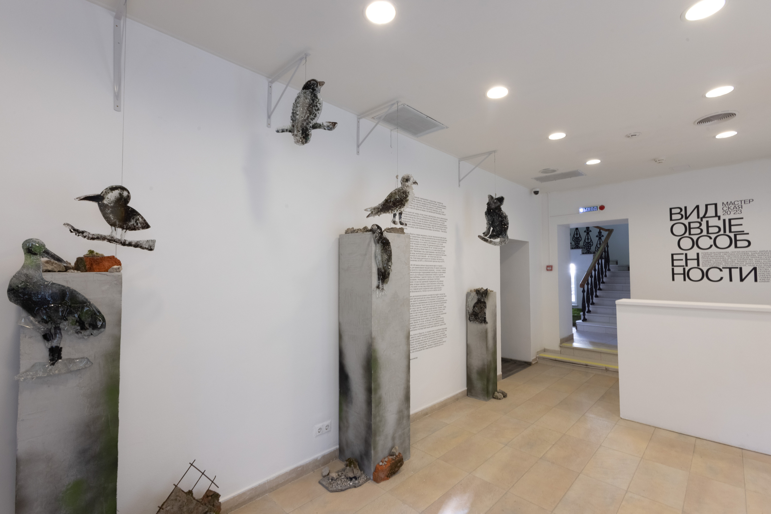 Olga Mikhalchuk and her work at Species-specific traits exhibition. Ольга Михальчук, художница и фотограф