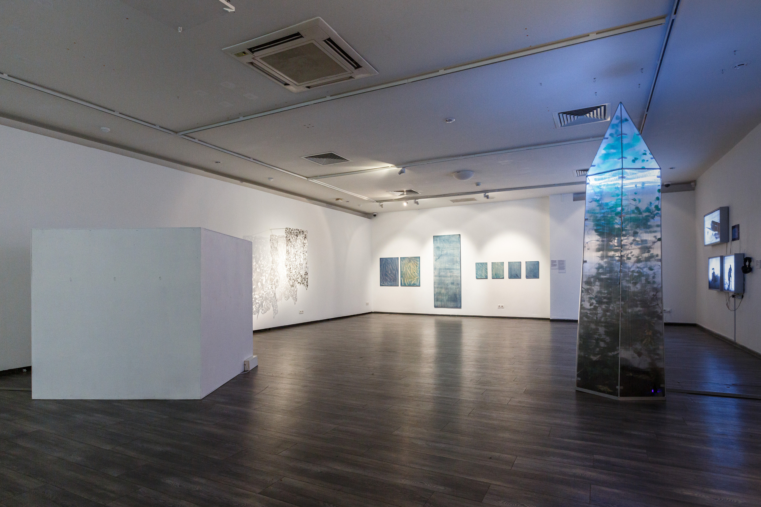 Olga Mikhalchuk, artist, with her installation Camera 0. Ольга Михальчук, художница и фотограф