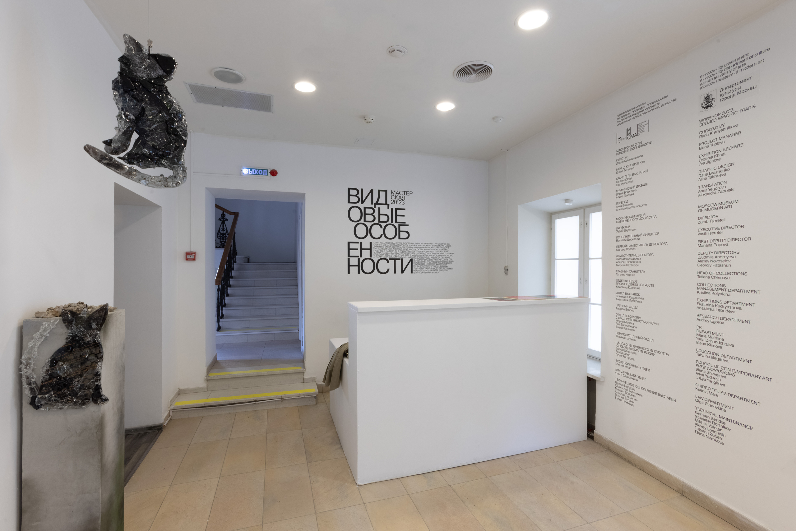 Olga Mikhalchuk, artist, with her installation Camera 0. Ольга Михальчук, художница и фотограф