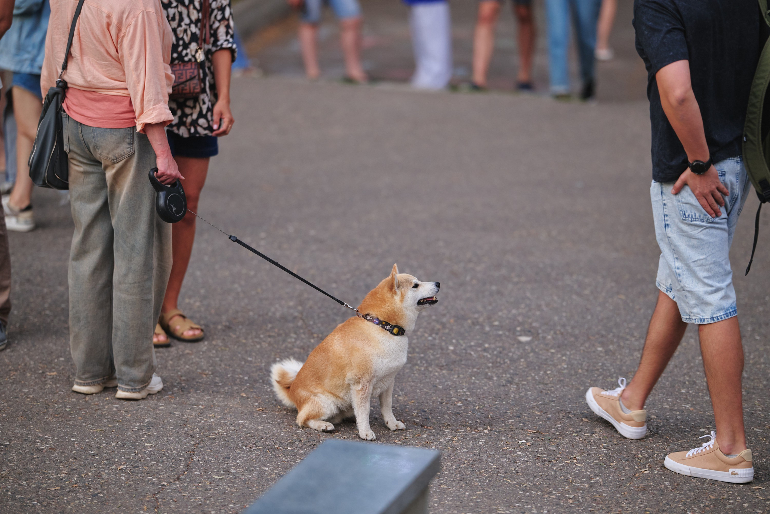 Ива фест 2025. Фотограф в Иваново: Каталожная съемка одежды и постельного белья, Wildberries