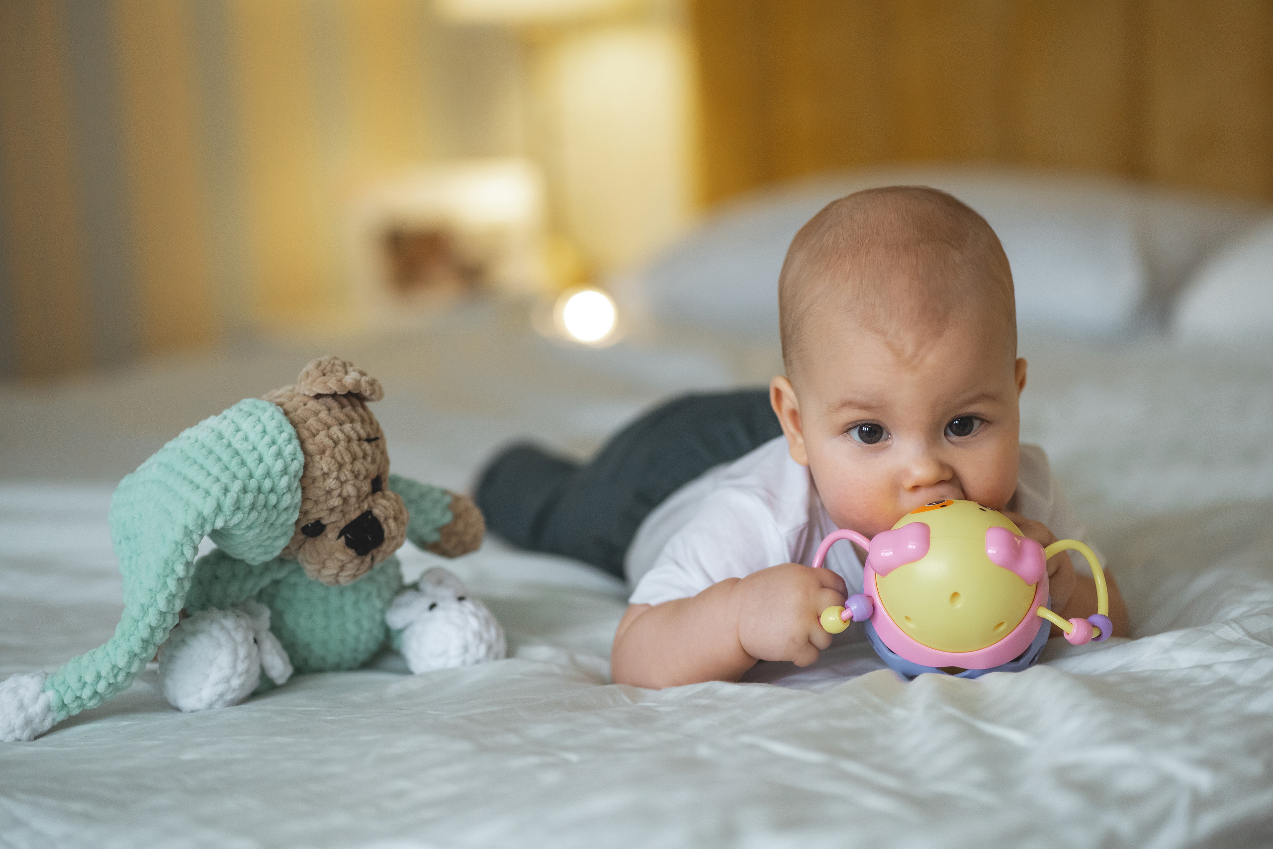 Домашние. Фотограф в Петергофе