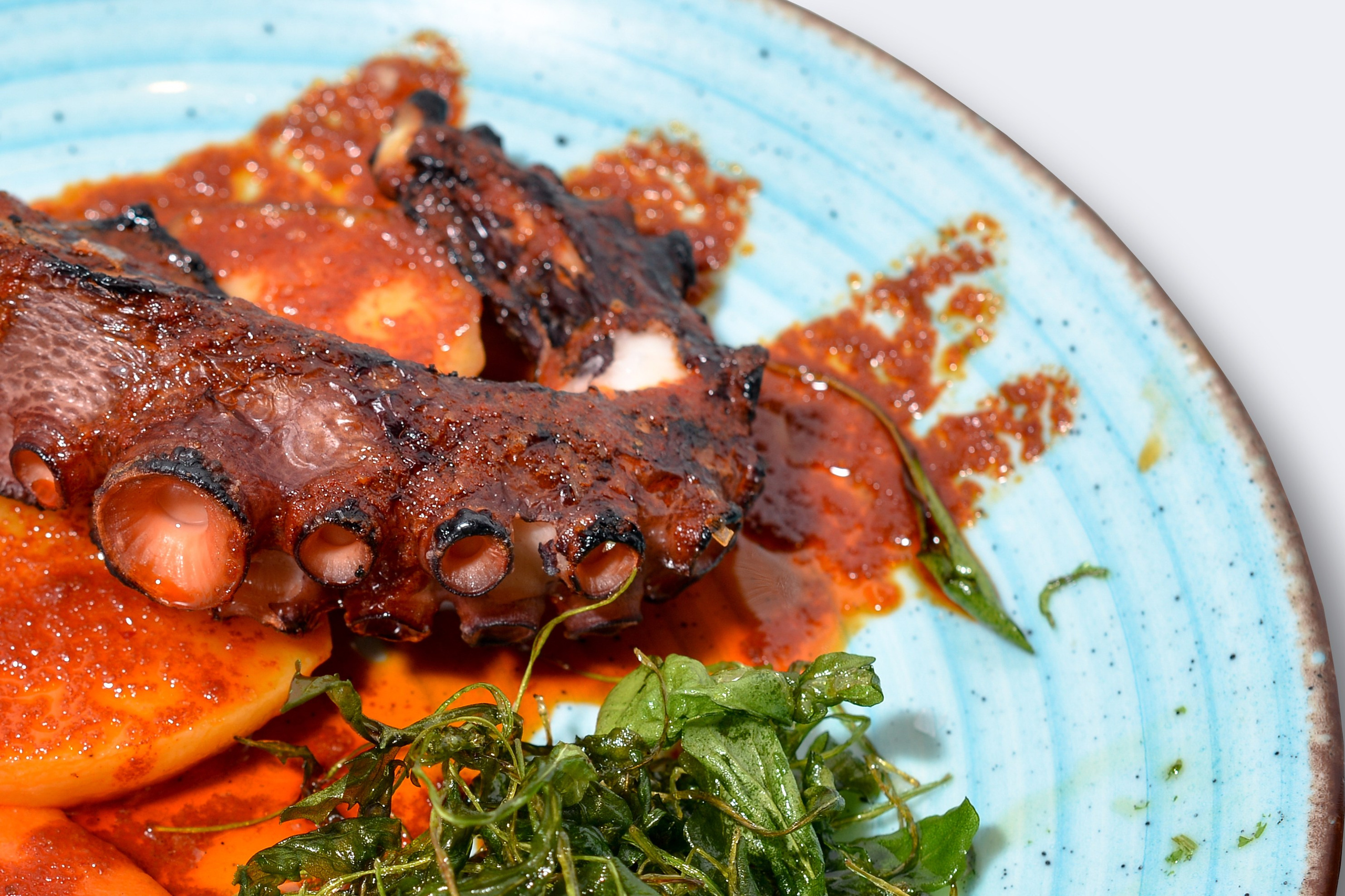 Fotógrafo Aleksandr Rybintsev