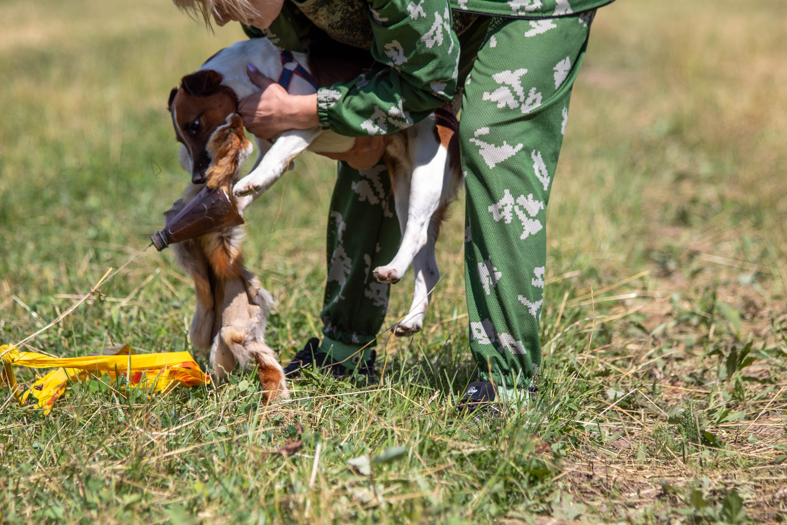 Охота как искусство Ясная поляна. Фотограф анималист — Тула, Москва